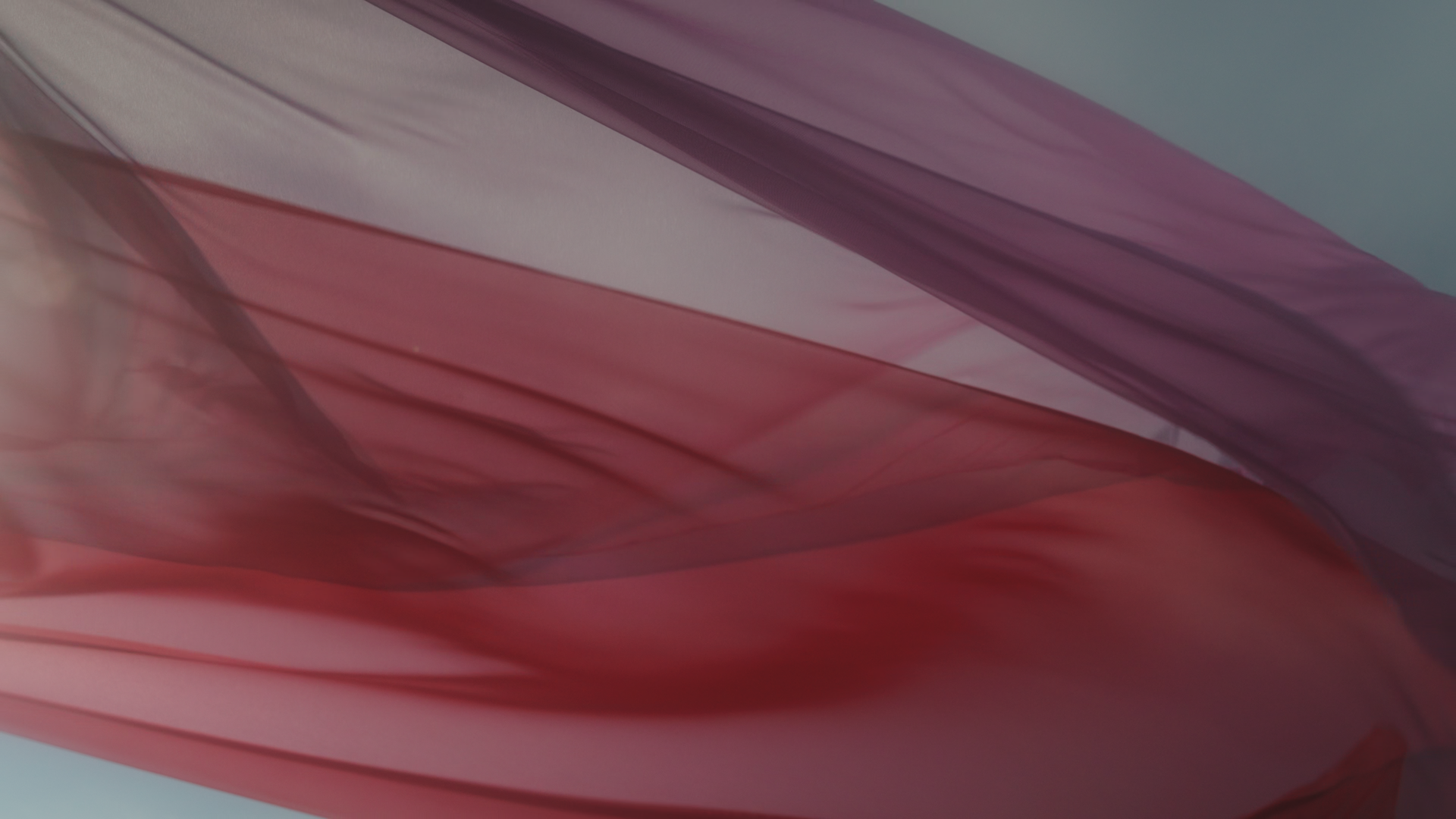 STILLS_1_1.18.1.png
