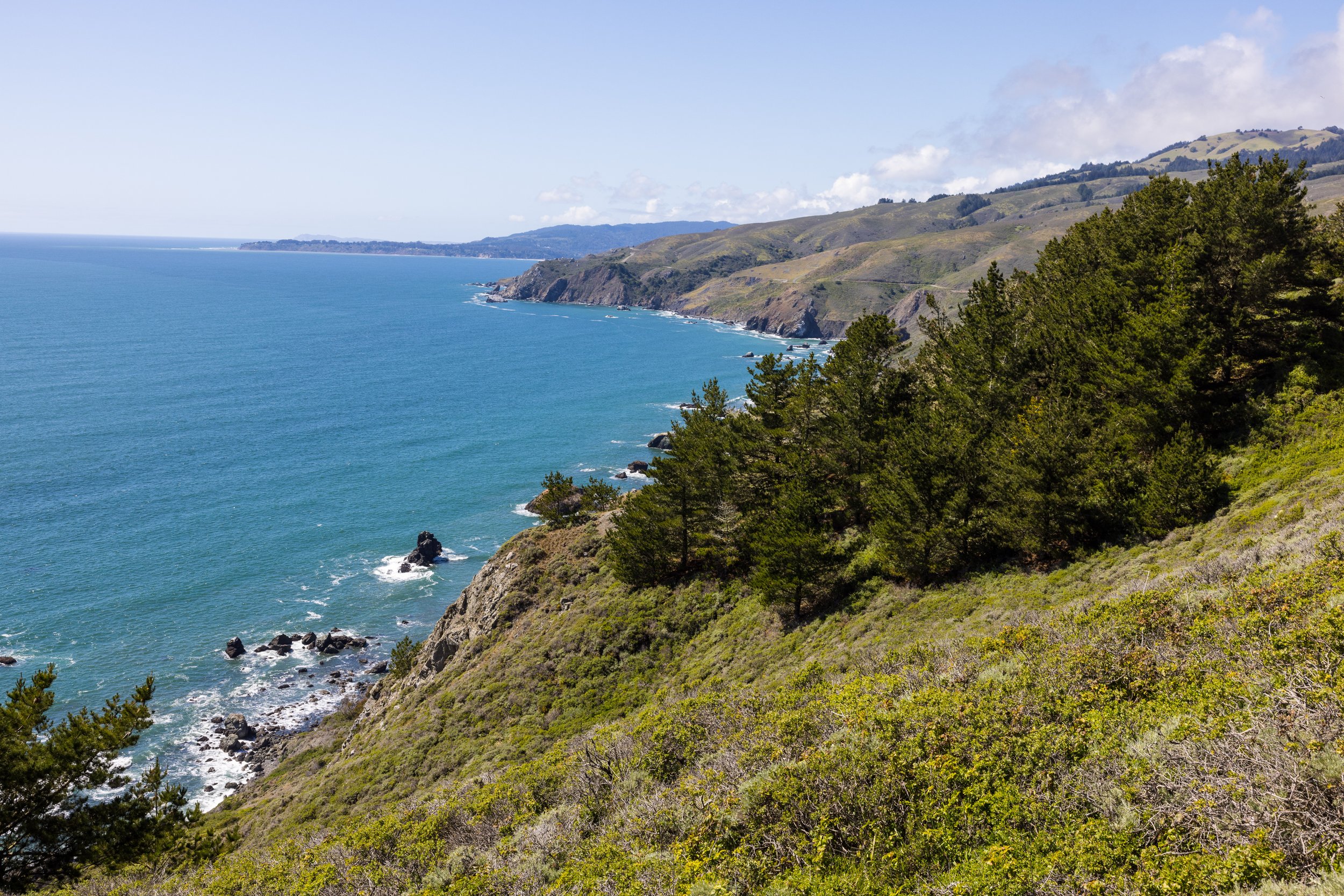 Muir Overlook