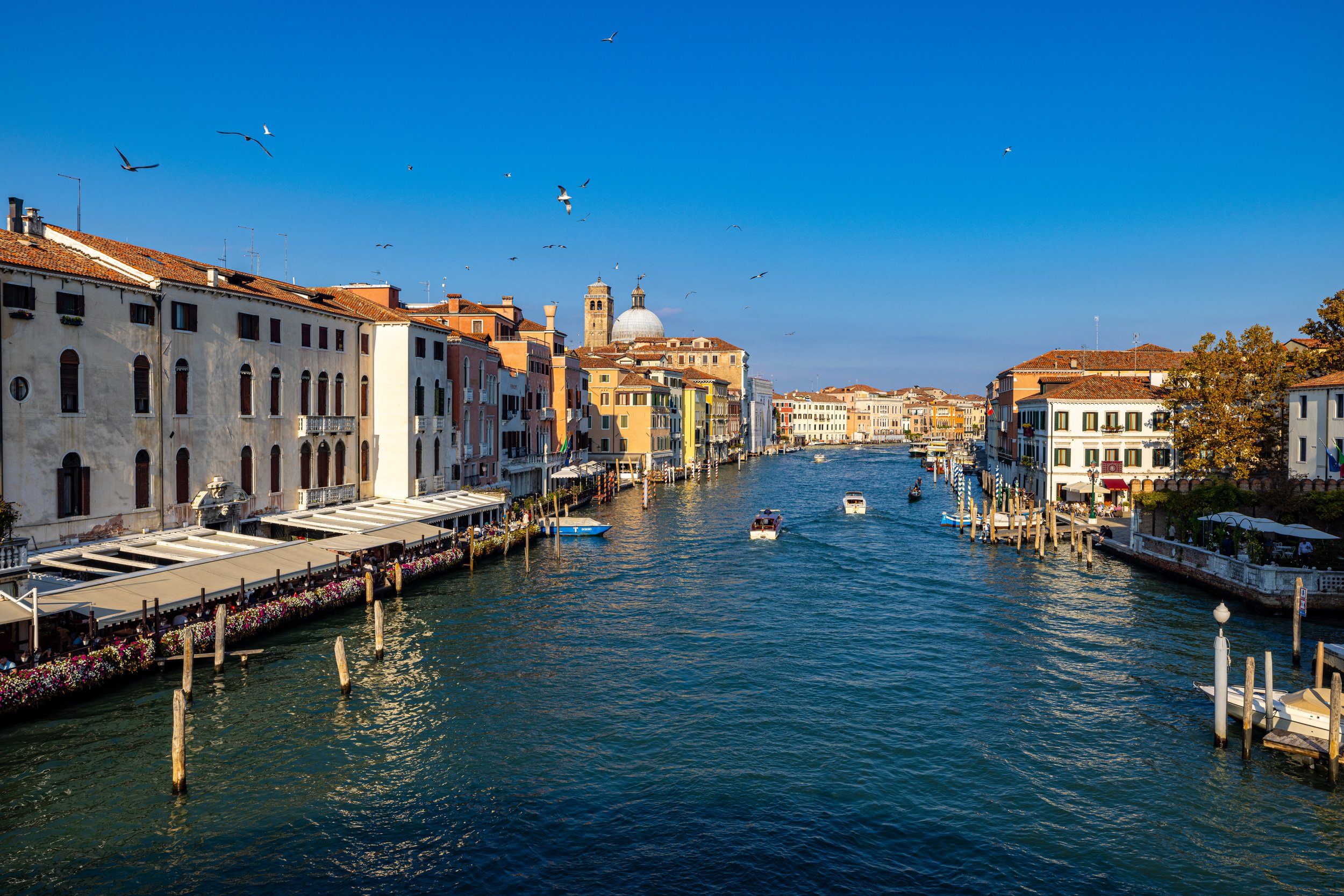 Venice Grand Canal-0848.jpg
