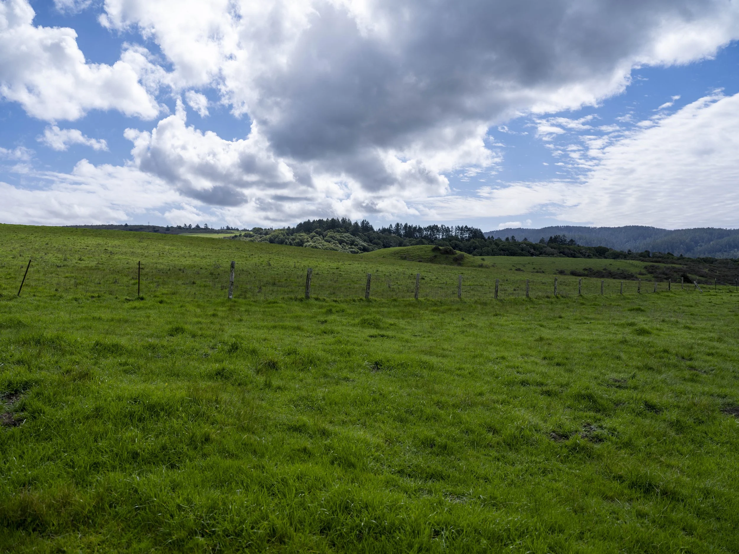 DSCF1368Petaluma North 2-2026February 21, 2026.jpg