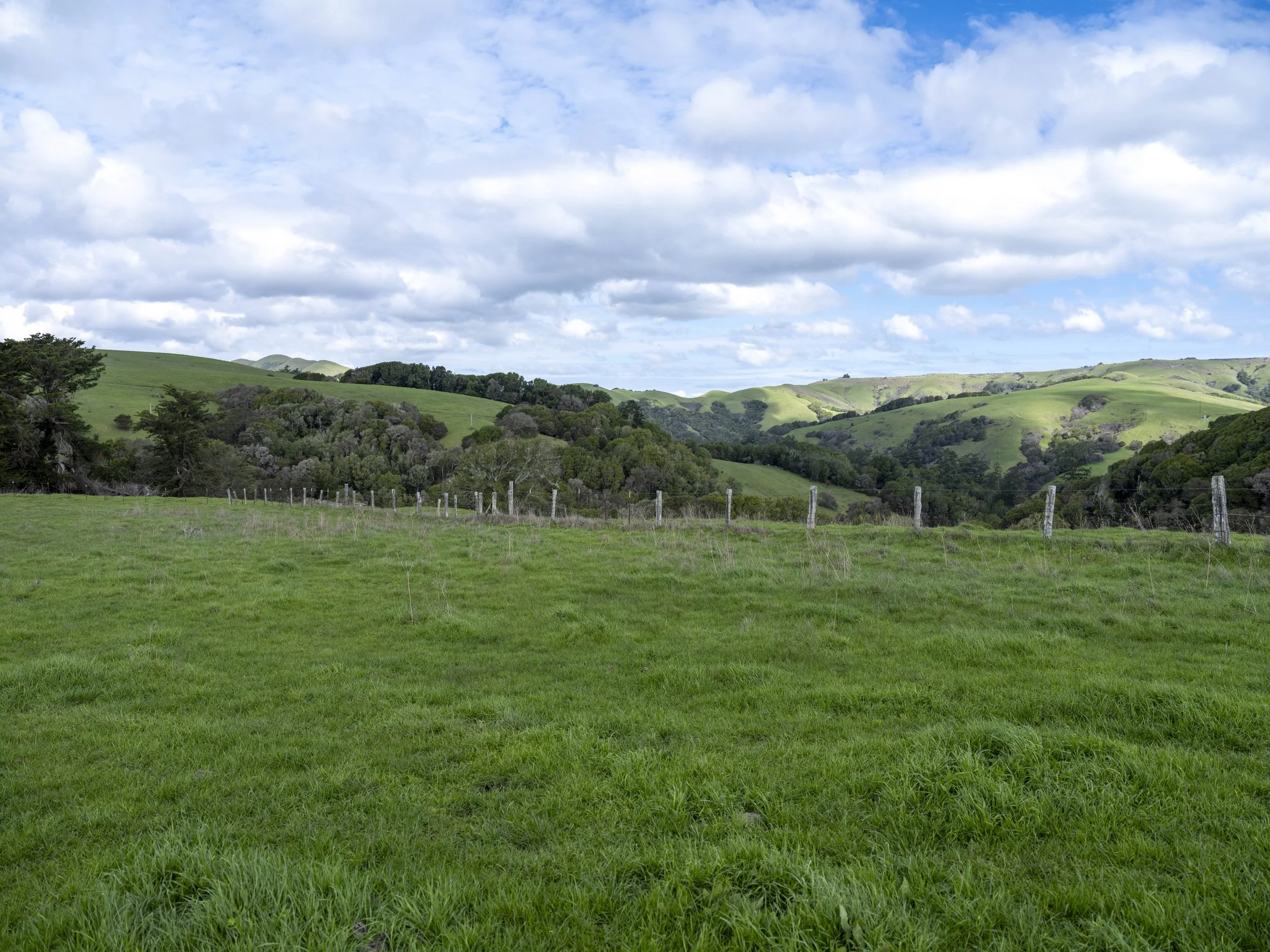 DSCF1376Petaluma North 2-2026February 21, 2026.jpg