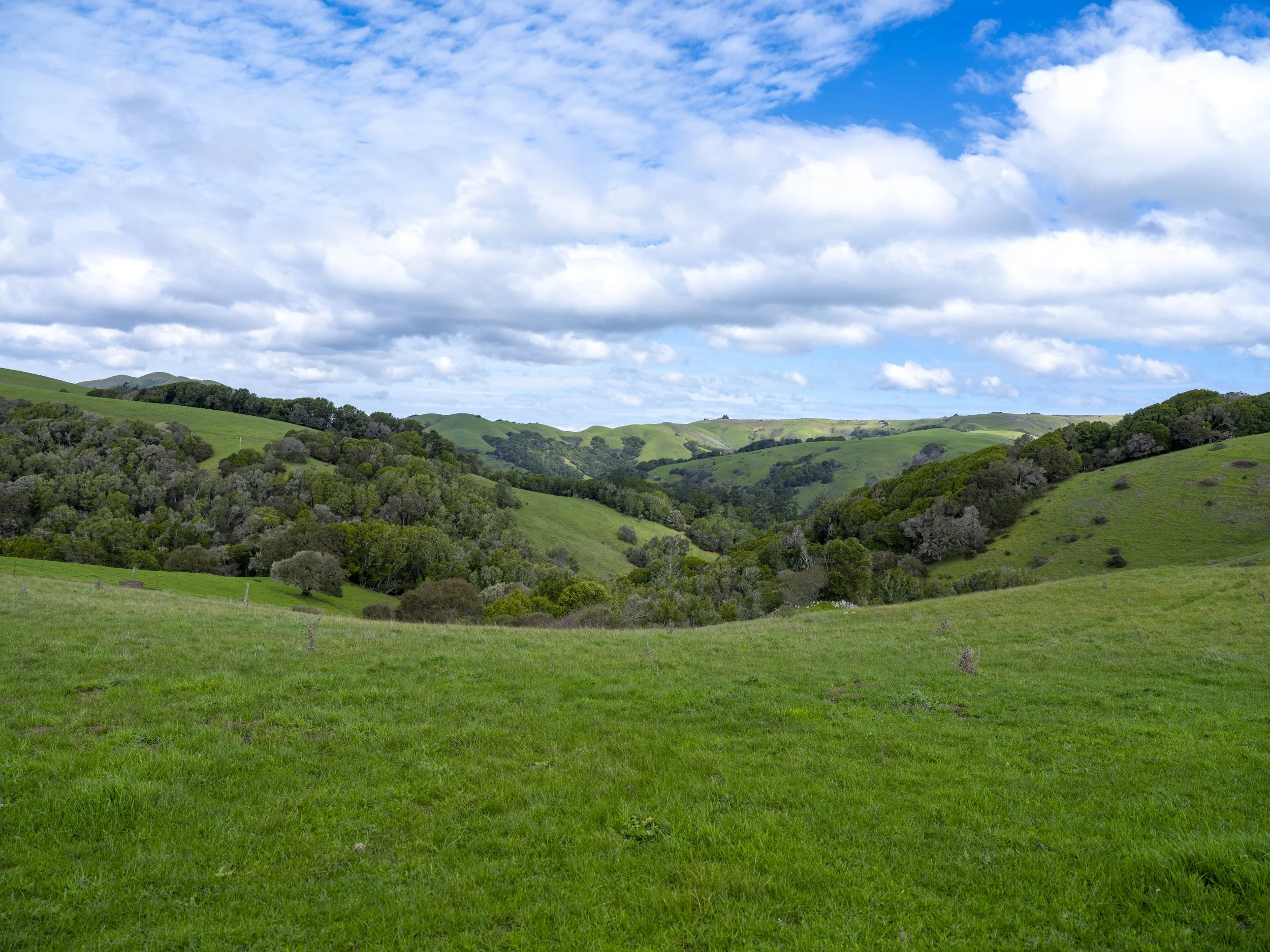 DSCF1380Petaluma North 2-2026February 21, 2026.jpg