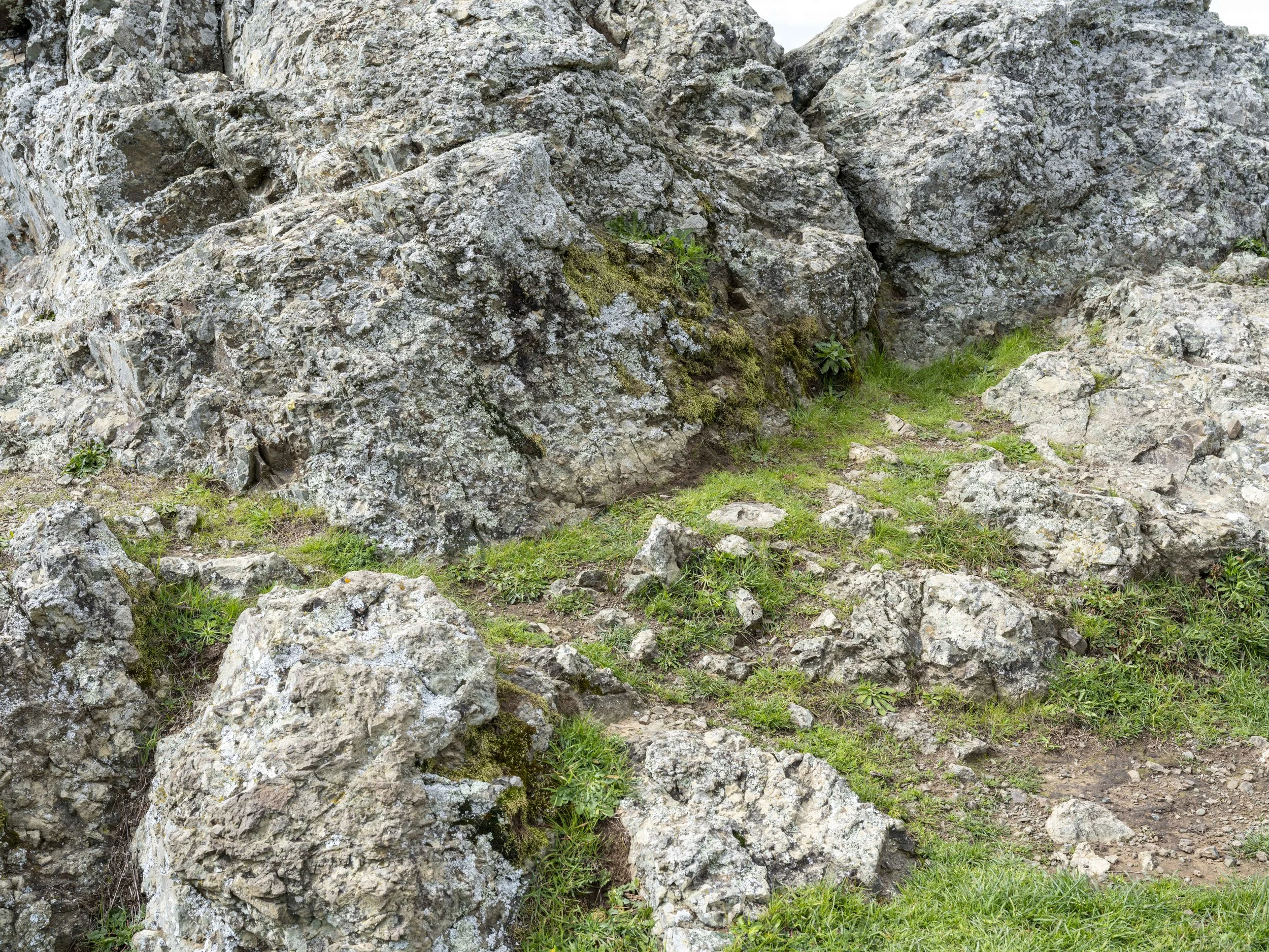 DSCF1386Petaluma North 2-2026February 21, 2026.jpg