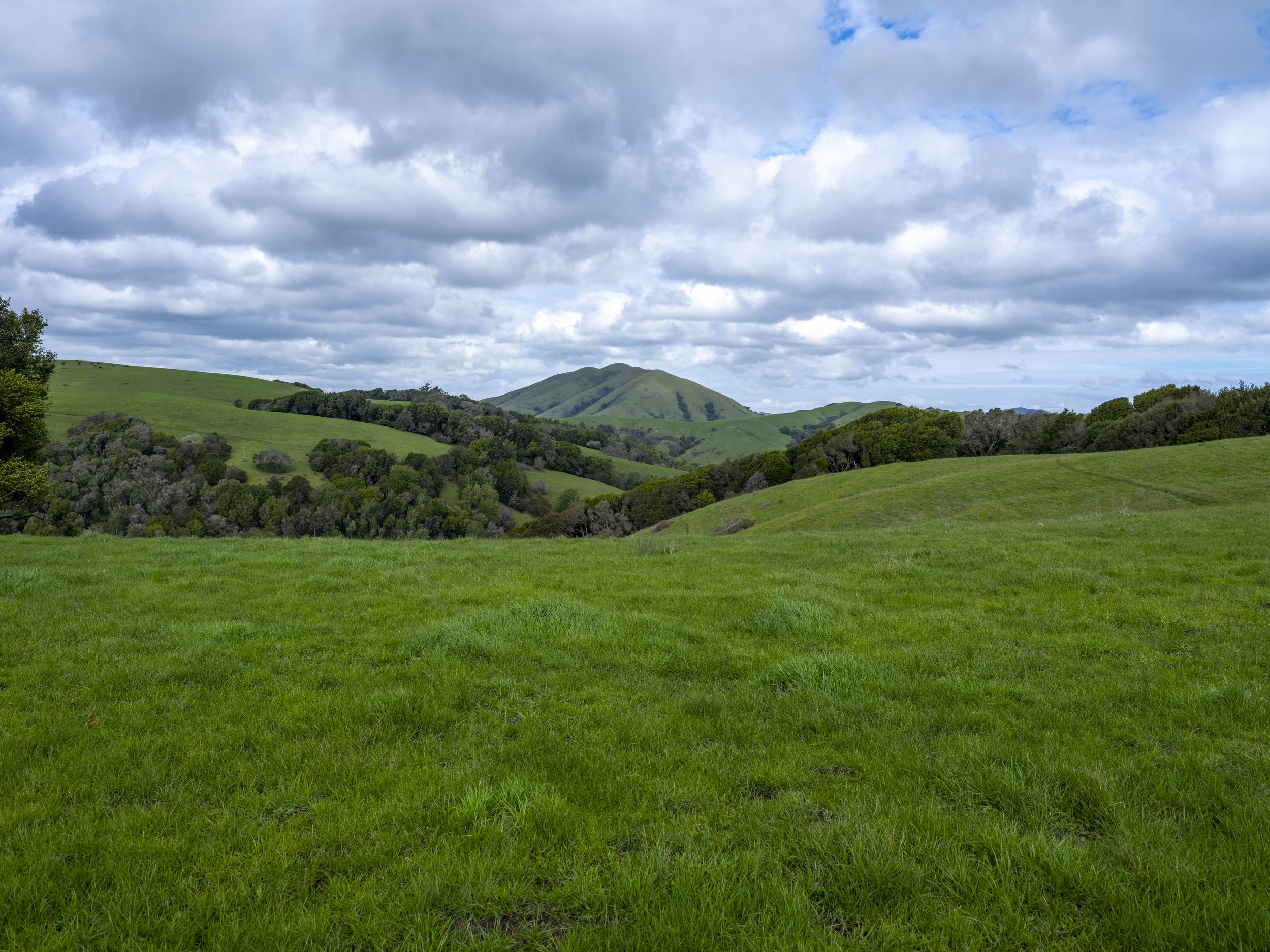 DSCF1384Petaluma North 2-2026February 21, 2026.jpg