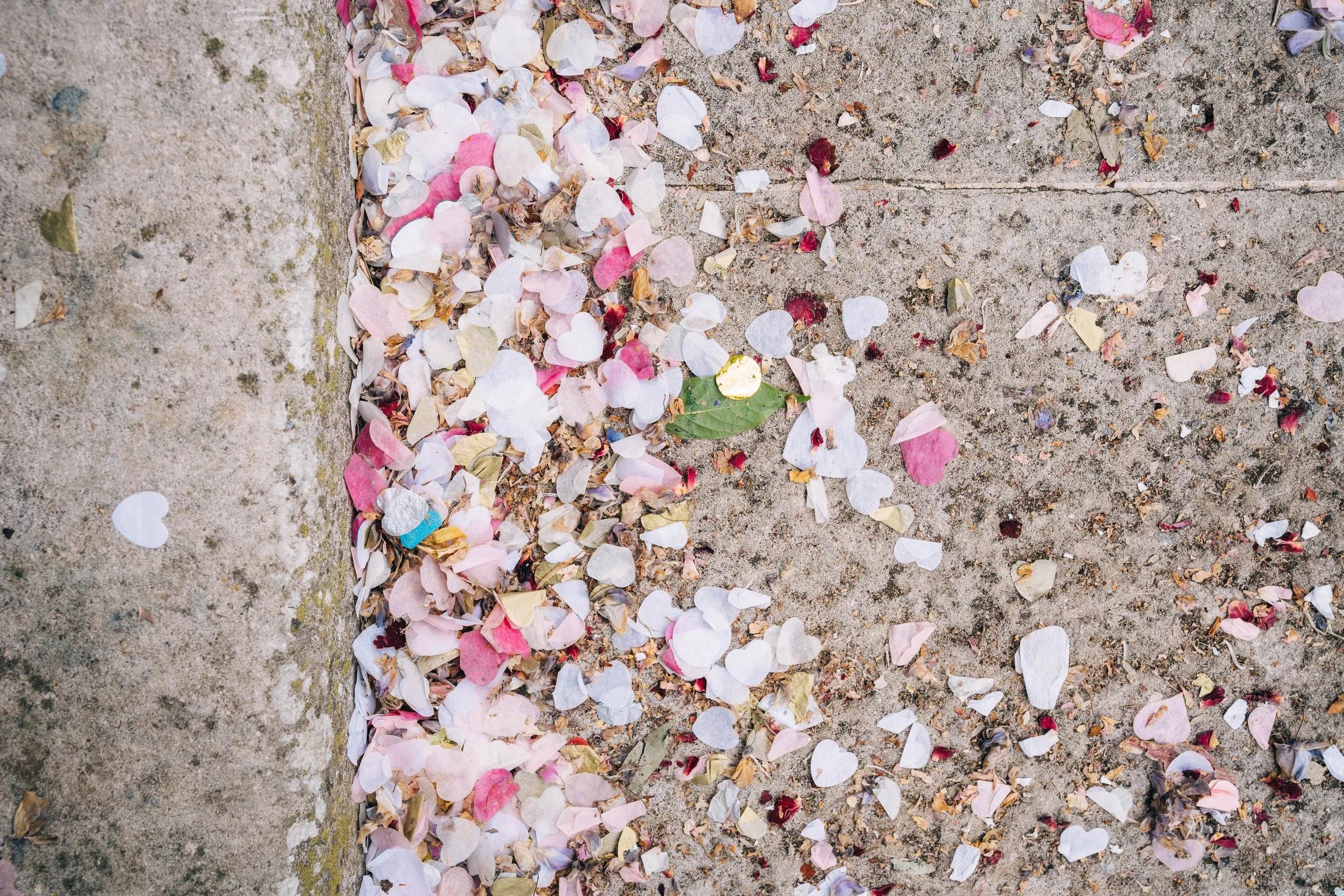 0116_Eva&Adrian_Merton Register Office_Luanda Grill_DSC04392.JPG