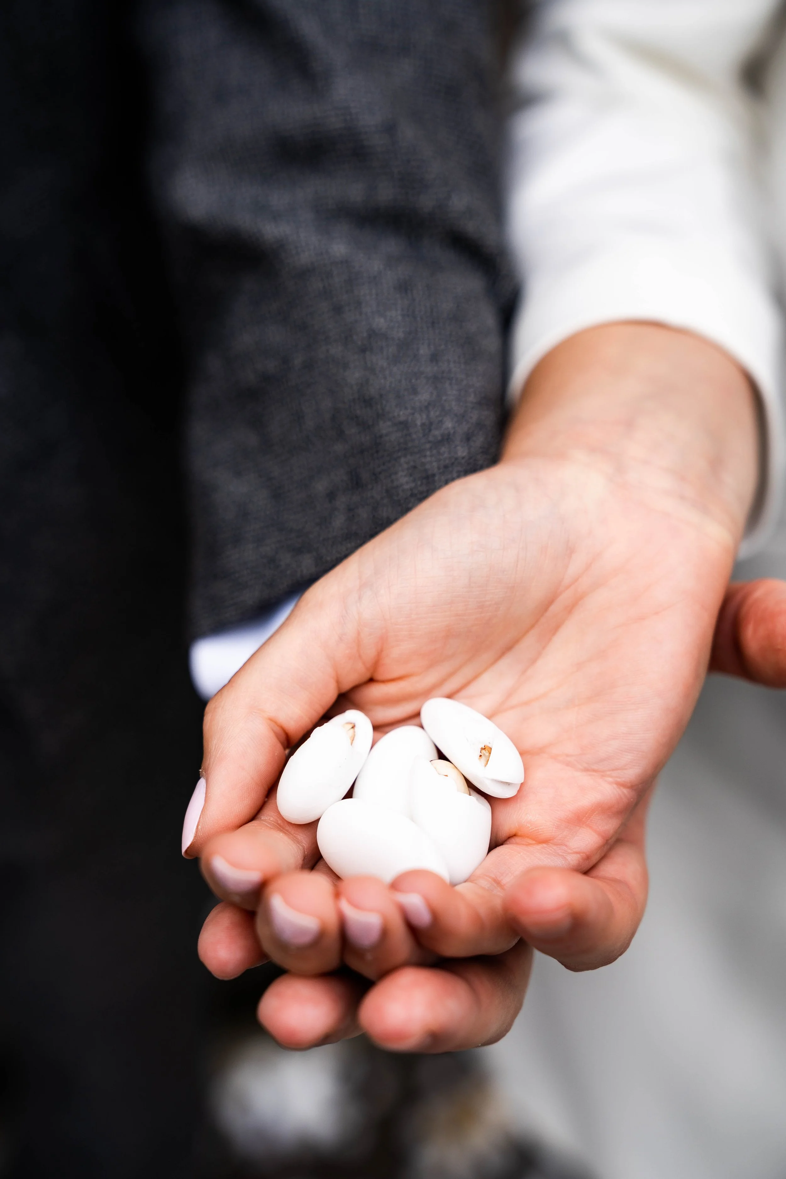 0120_Oliver&Katia_The Old Marylebone Town Hall_DSC04153.JPG