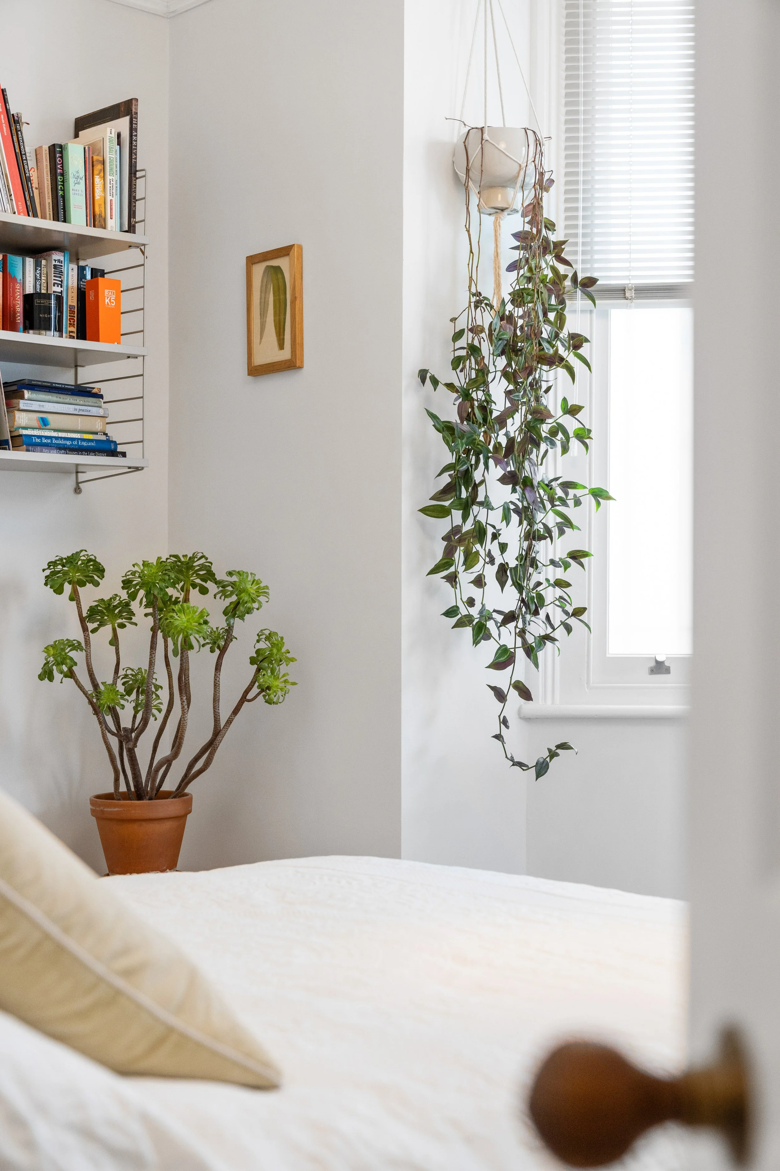 077_property photos_005.JPG