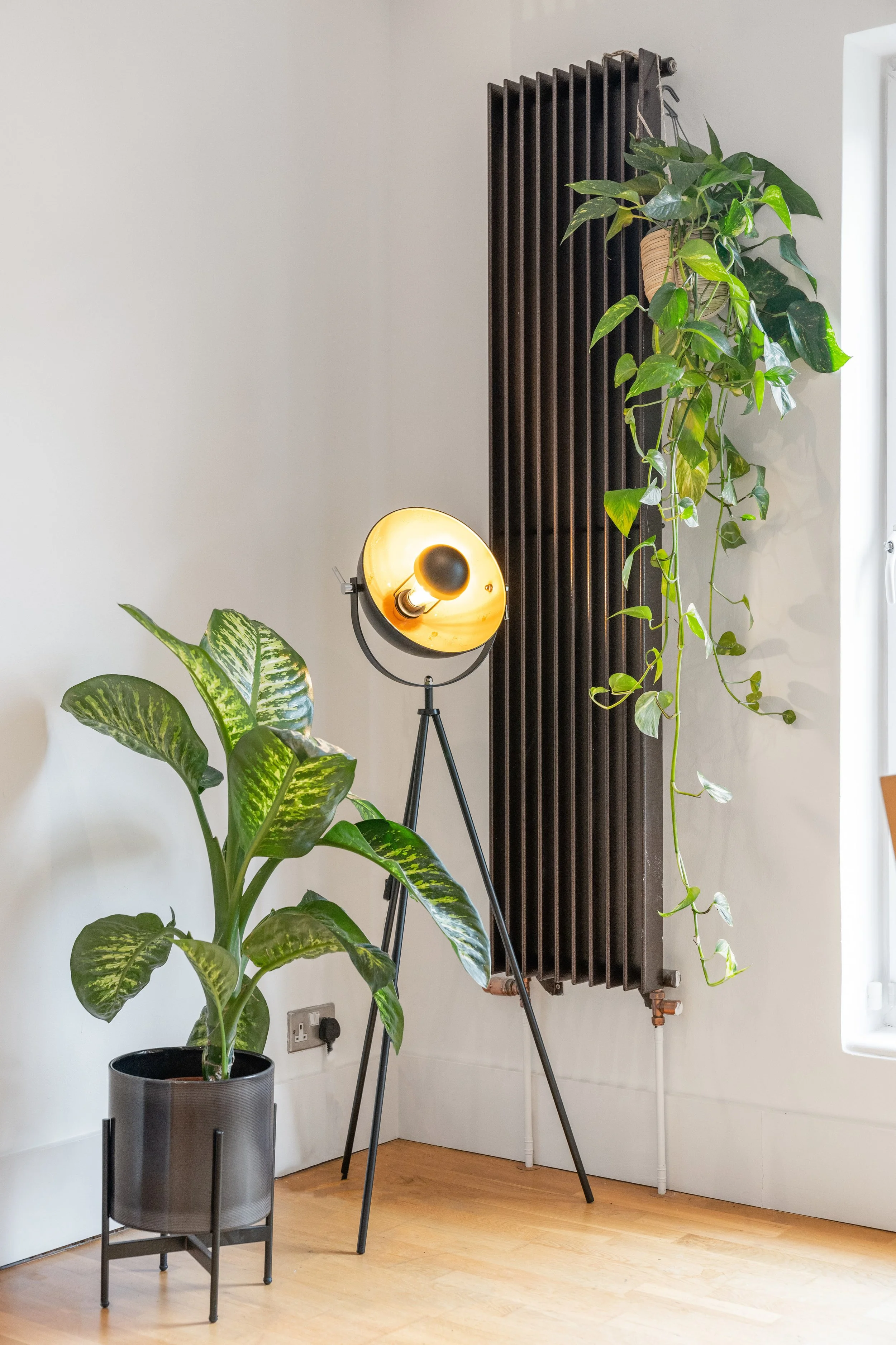 210_property photos_007.JPG