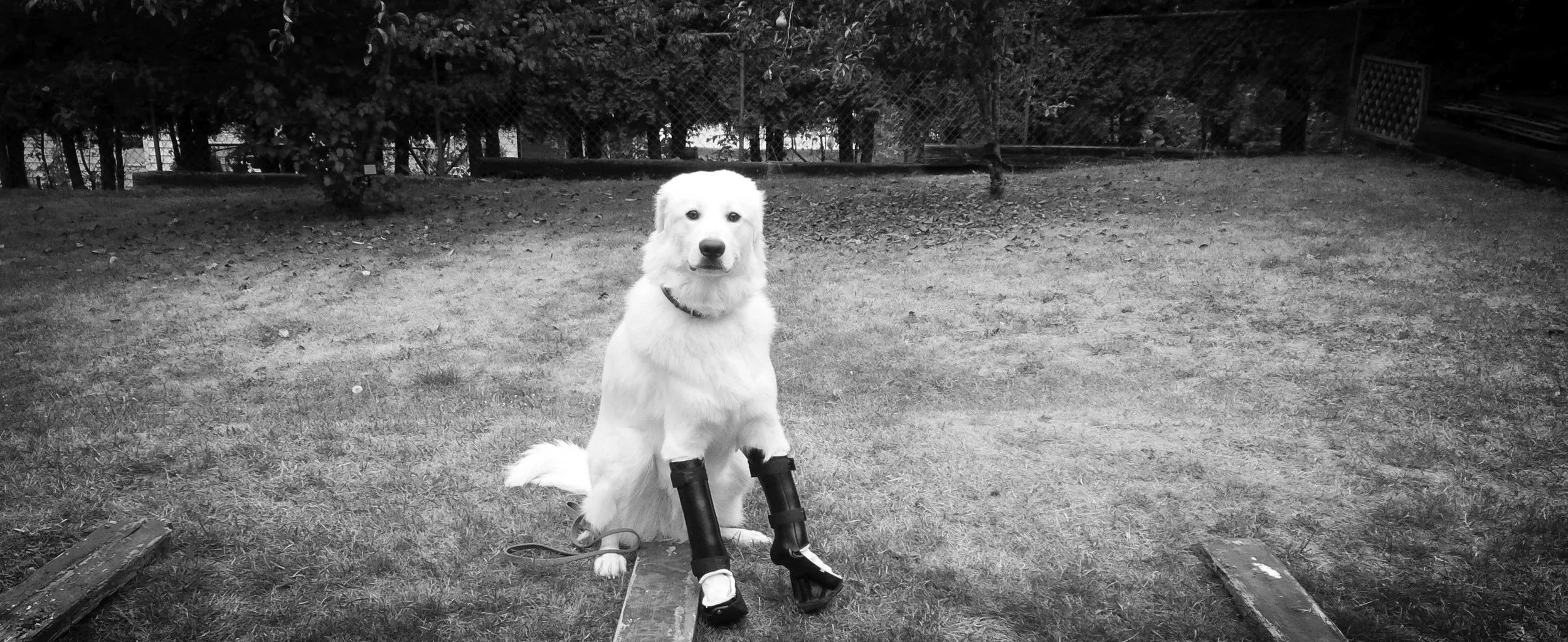 IMG_20140917_075116 (1).jpg