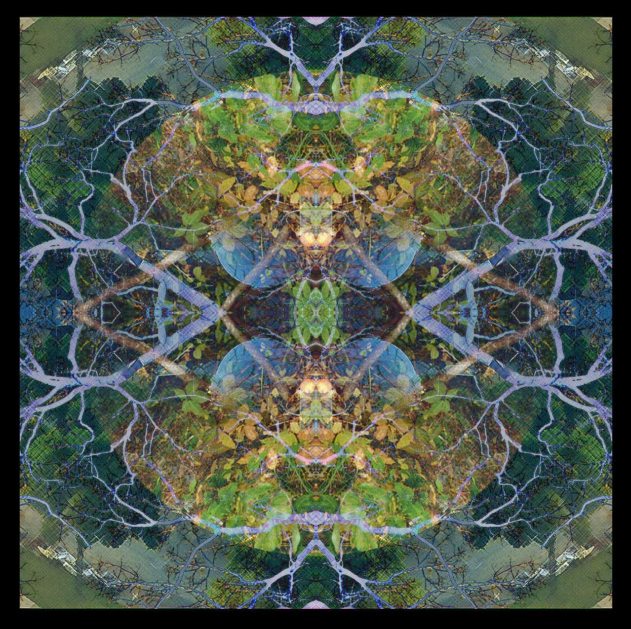 Mandala | $20/mo | $175 purchase