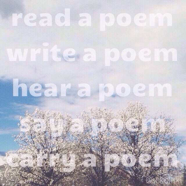 wpid-wp-14277742788221.jpeg