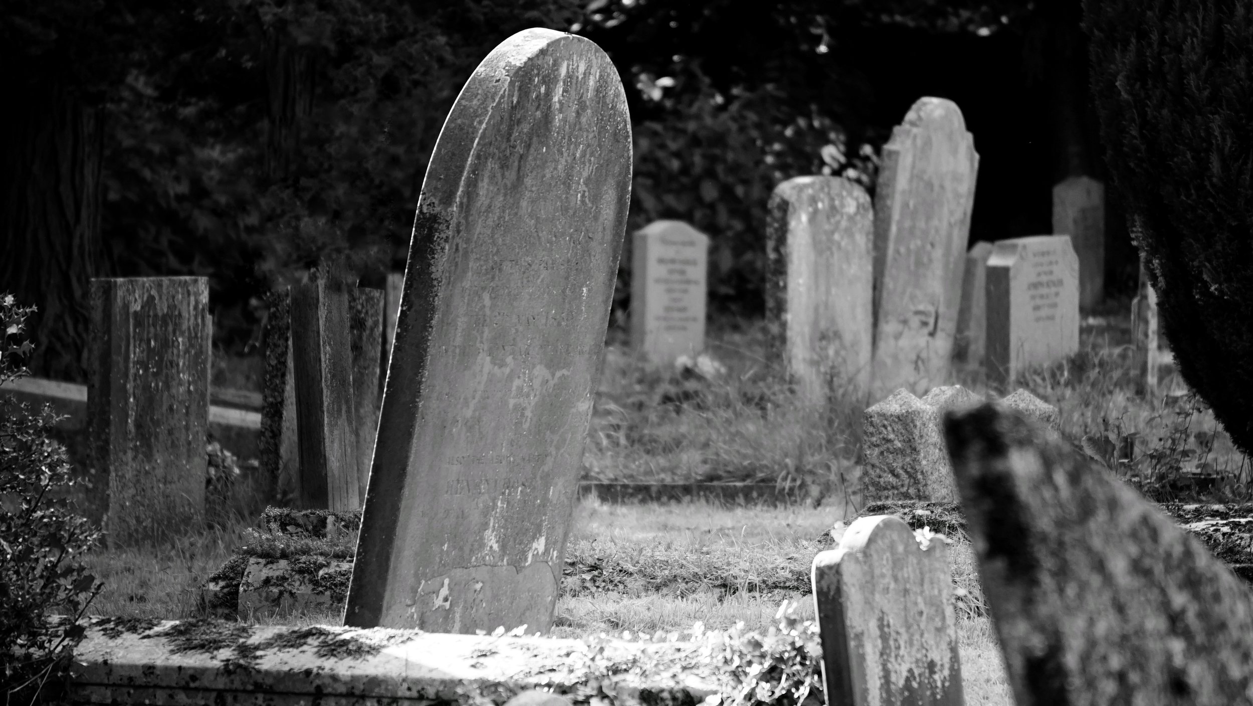 pexels-photo-116909-01.jpeg