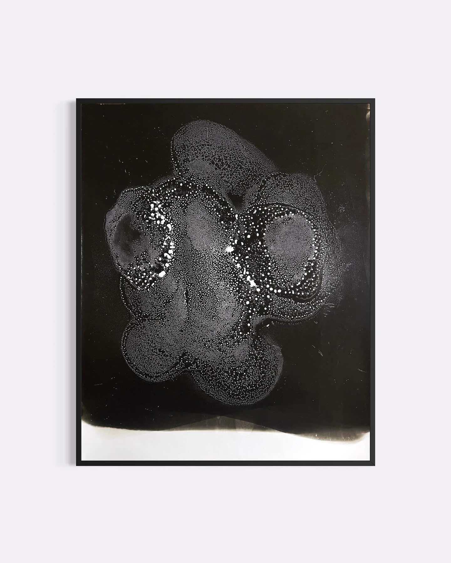 Outer Space Animals
.
.
.
.
.
#chemigram #alternativephotography # microgram #Artcomtemporary #Scienceisart #Contemporaryartcollector #Beauxart #Landscapeart #artonpaper #Phillyartist #inspiredbynature #Artista #Artcurator #Originalart #interiordesig