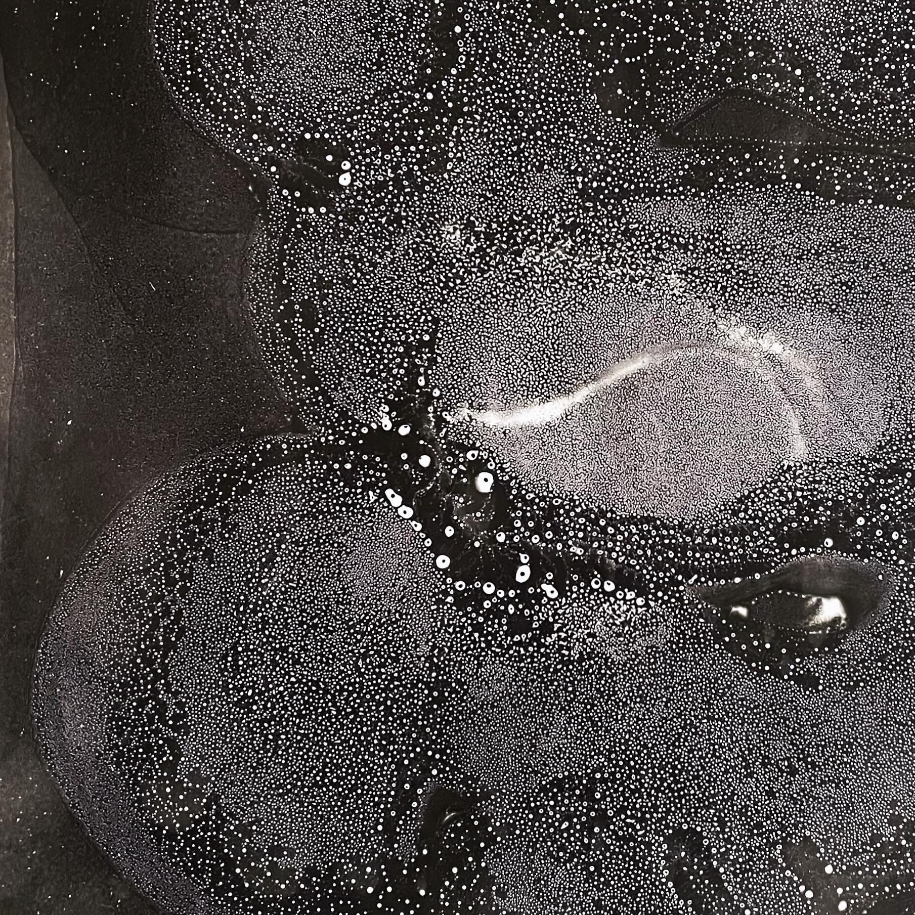 Outer Space Animals, close up view.
.
.
.
.
.
.
#chemigram #alternativephotography # microgram #Artcomtemporary #Scienceisart #Contemporaryartcollector #Beauxart #Landscapeart #artonpaper #Phillyartist #inspiredbynature #Artista #Artcurator #Original