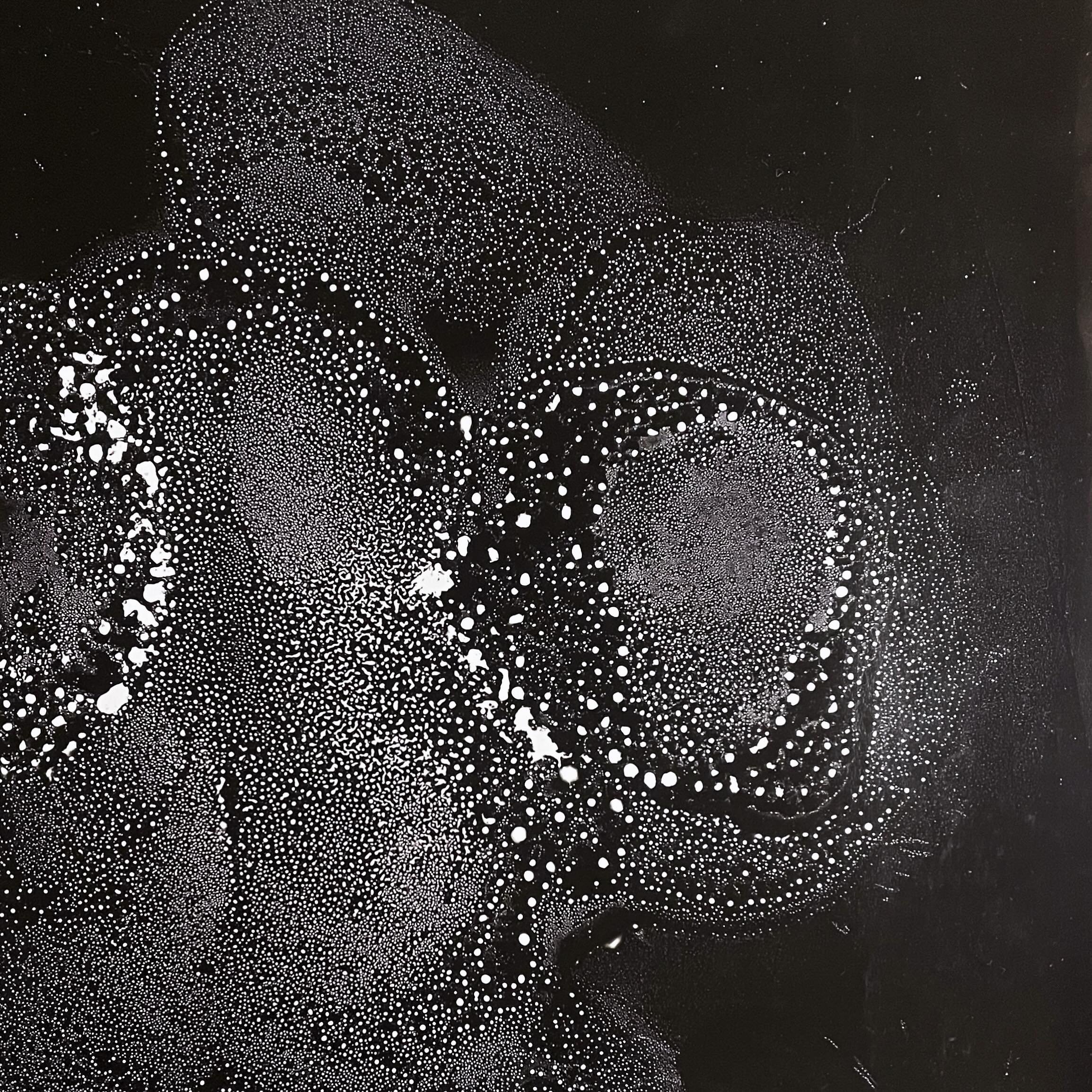 Outer Space Animals, close up view
.
.
.
.
.
.
.
#chemigram #alternativephotography # microgram #Artcomtemporary #Scienceisart #Contemporaryartcollector #Beauxart #Landscapeart #artonpaper #Phillyartist #inspiredbynature #Artista #Artcurator #Origina