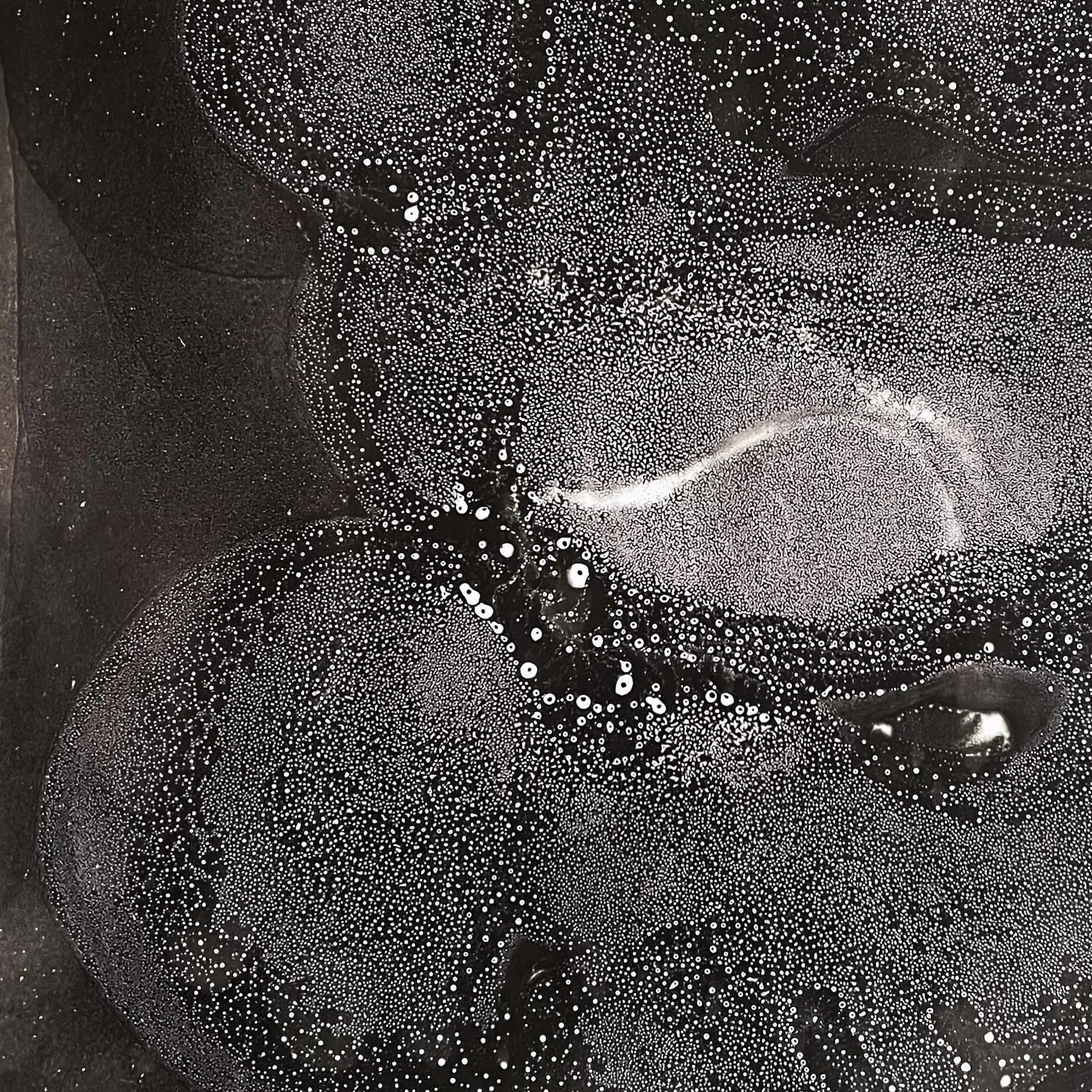 Outer Space Animals, close up view.
.
.
.
.
.
.
#chemigram #alternativephotography # microgram #Artcomtemporary #Scienceisart #Contemporaryartcollector #Beauxart #Landscapeart #artonpaper #Phillyartist #inspiredbynature #Artista #Artcurator #Original