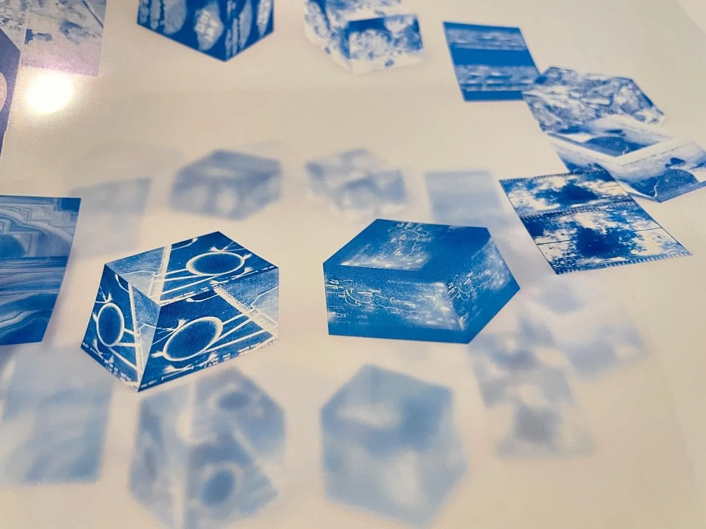 Artifacts - a hybrid of cyanotype and digital edits
&bull; fine print available, DM for inquiries &bull;

&nbsp;#cyanotypeprint&nbsp;#cyanotypeartist
#inspiredbynature #alternativephotography #microgram #Artcontemporary #Contemporaryartcollector #Bea