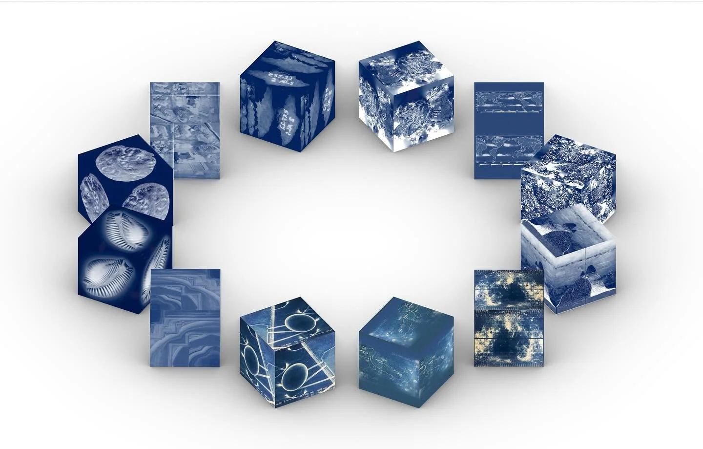 Artifacts 

&nbsp;#cyanotypeprint&nbsp;#cyanotypeartist
#inspiredbynature #alternativephotography #microgram #Artcontemporary #Contemporaryartcollector #Beauxart #Landscapeart #artonpaper #Phillyartist #Artista #Artcurator #Originalart #homedecor #de