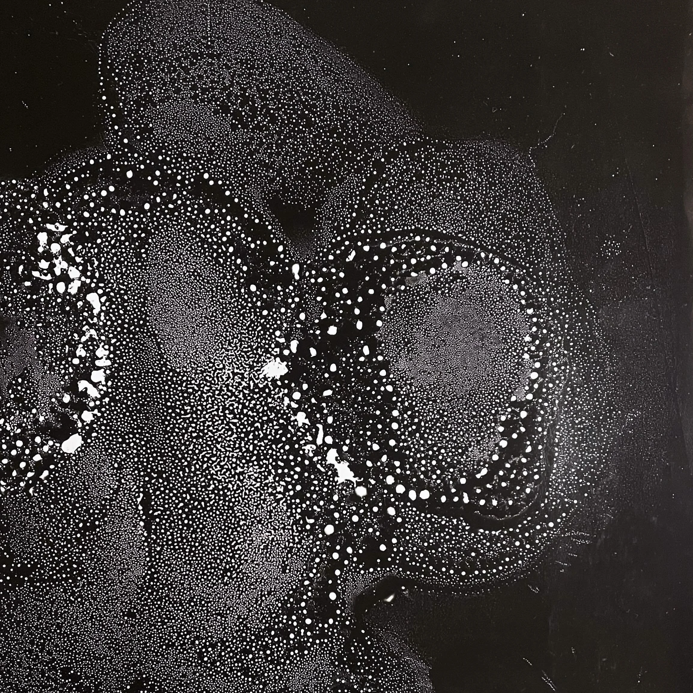 Outer Space Animals, close up view
.
.
.
.
.
.
.
#chemigram #alternativephotography # microgram #Artcomtemporary #Scienceisart #Contemporaryartcollector #Beauxart #Landscapeart #artonpaper #Phillyartist #inspiredbynature #Artista #Artcurator #Origina