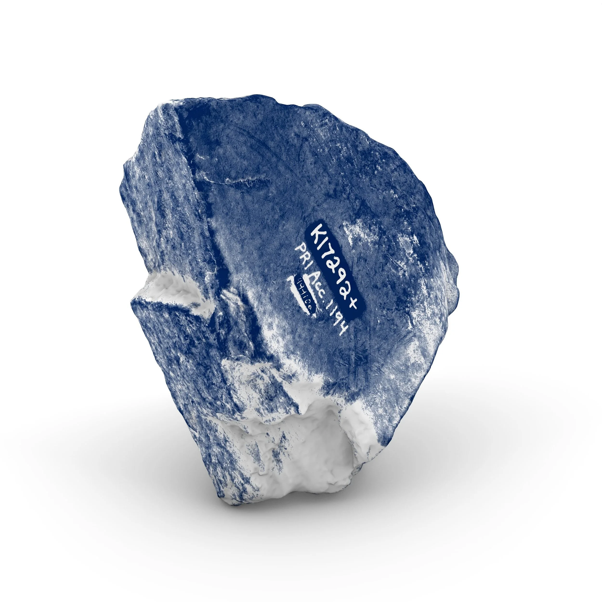 Artifacts 

&nbsp;#cyanotypeprint&nbsp;#cyanotypeartist
#inspiredbynature #alternativephotography #microgram #Artcomtemporary #Comtemporaryartcollector #Beauxart #Landscapeart #artonpaper #Phillyartist #Artista #Artcurator #Originalart #homedecor #de