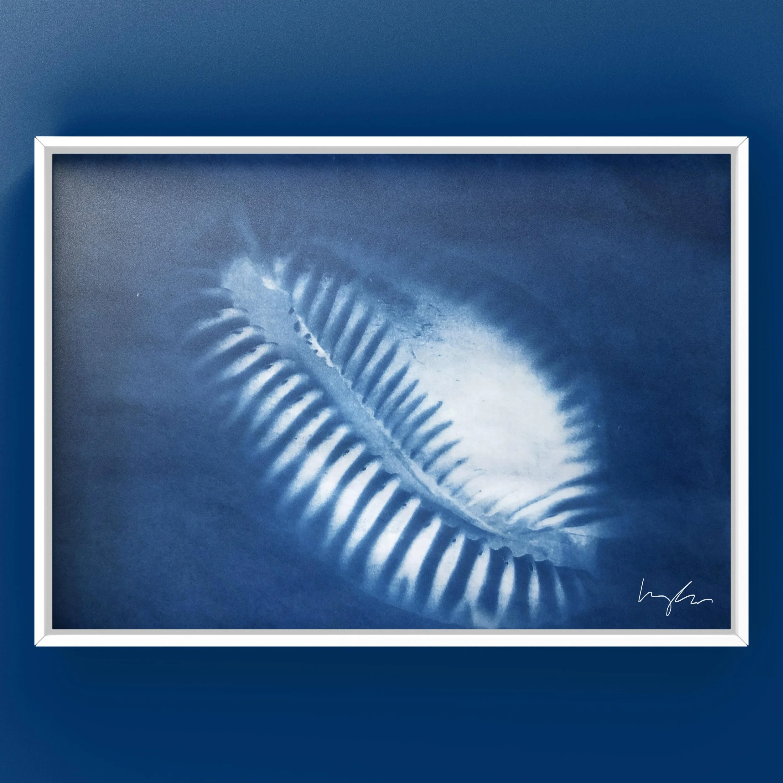 Sea composition 

&nbsp;#cyanotypeprint&nbsp;#cyanotypeartist
#inspiredbynature #alternativephotography #microgram #Artcomtemporary #Comtemporaryartcollector #Beauxart #Landscapeart #artonpaper #Phillyartist #Artista #Artcurator #Originalart #homedec