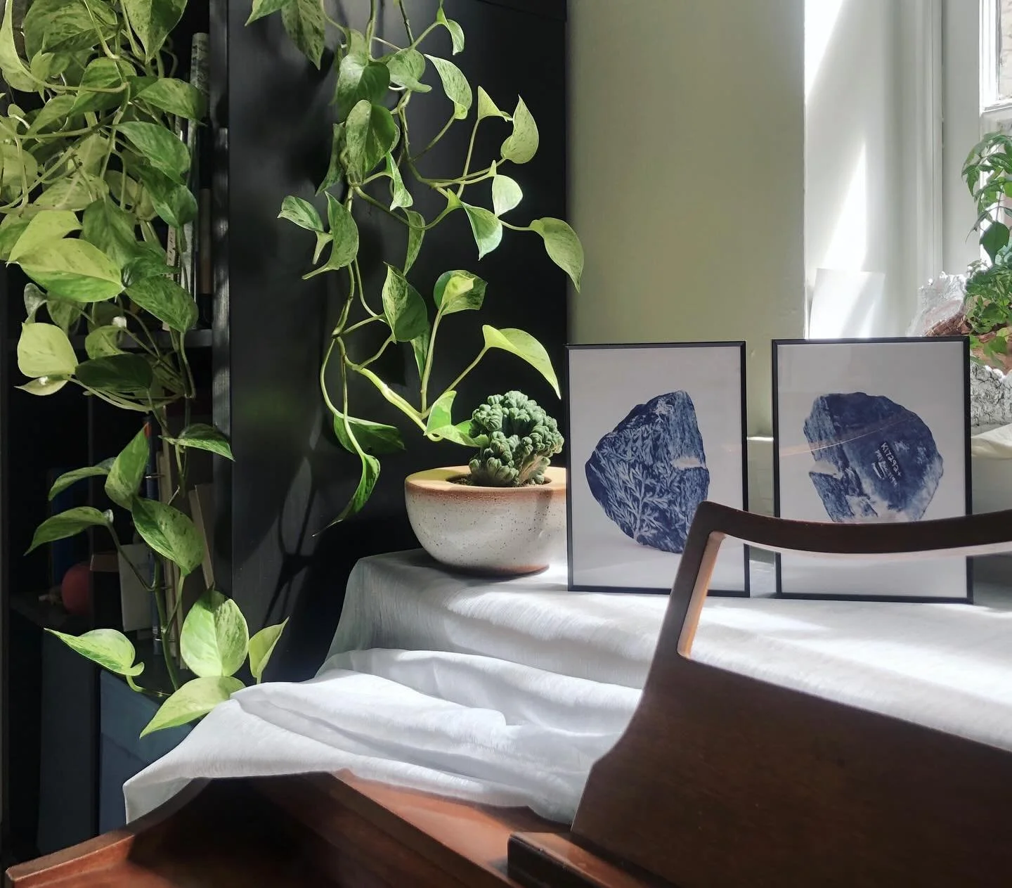 Artifacts 

&nbsp;#cyanotypeprint&nbsp;#cyanotypeartist
#inspiredbynature #alternativephotography #microgram #Artcontemporary #Contemporaryartcollector #Beauxart #Landscapeart #artonpaper #Phillyartist #Artista #Artcurator #Originalart #homedecor #de