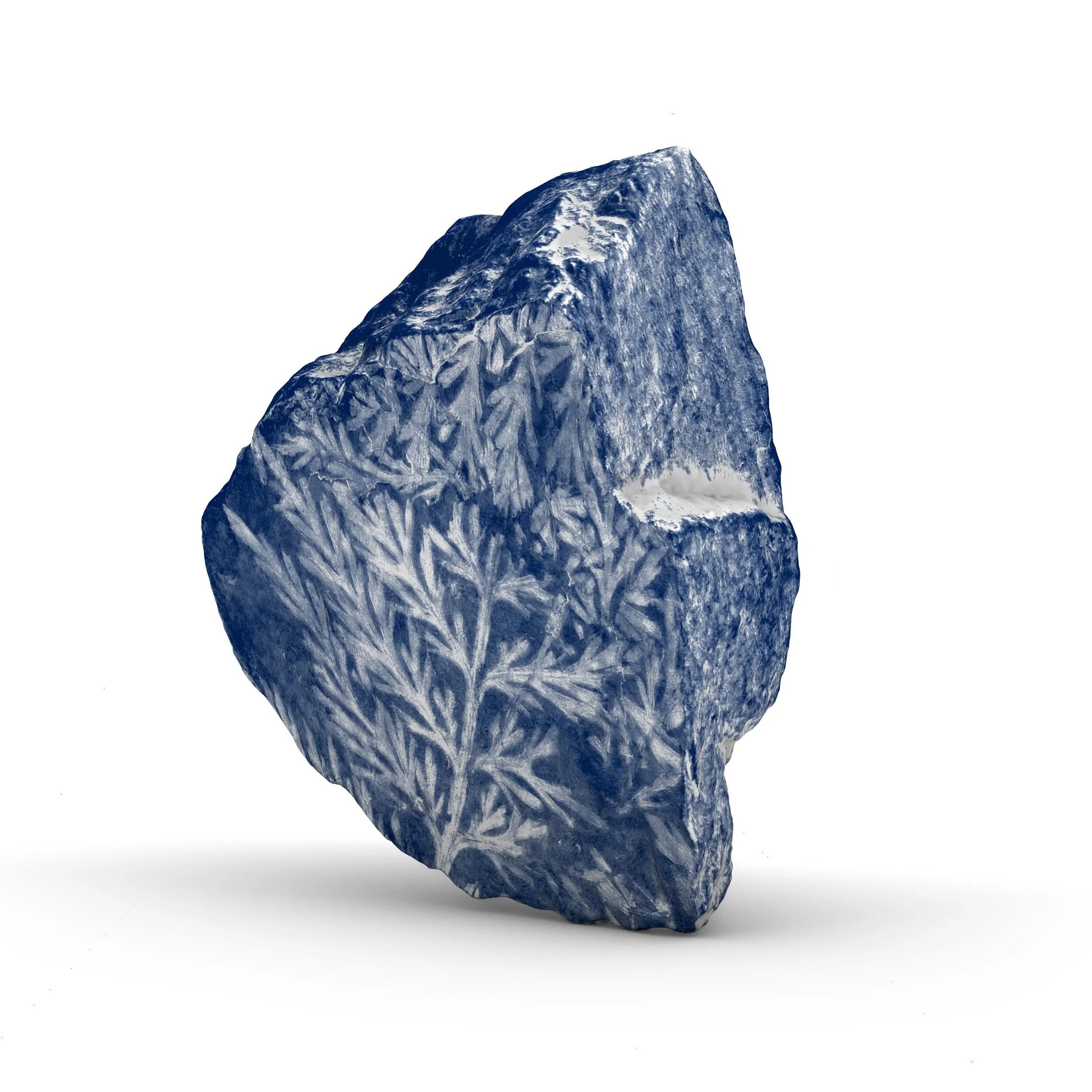 Artifacts 

&nbsp;#cyanotypeprint&nbsp;#cyanotypeartist
#inspiredbynature #alternativephotography #microgram #Artcomtemporary #Comtemporaryartcollector #Beauxart #Landscapeart #artonpaper #Phillyartist #Artista #Artcurator #Originalart #homedecor #de