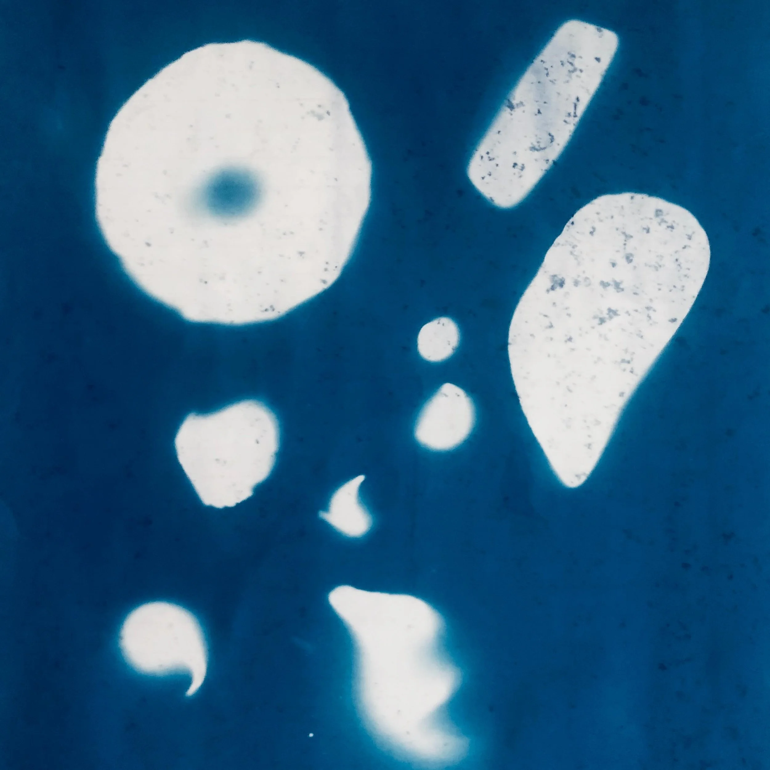 Sea composition

&nbsp;#cyanotypeprint&nbsp;#cyanotypeartist
#inspiredbynature #alternativephotography #microgram #Artcomtemporary #Comtemporaryartcollector #Beauxart #Landscapeart #artonpaper #Phillyartist #Artista #Artcurator #Originalart #homedeco