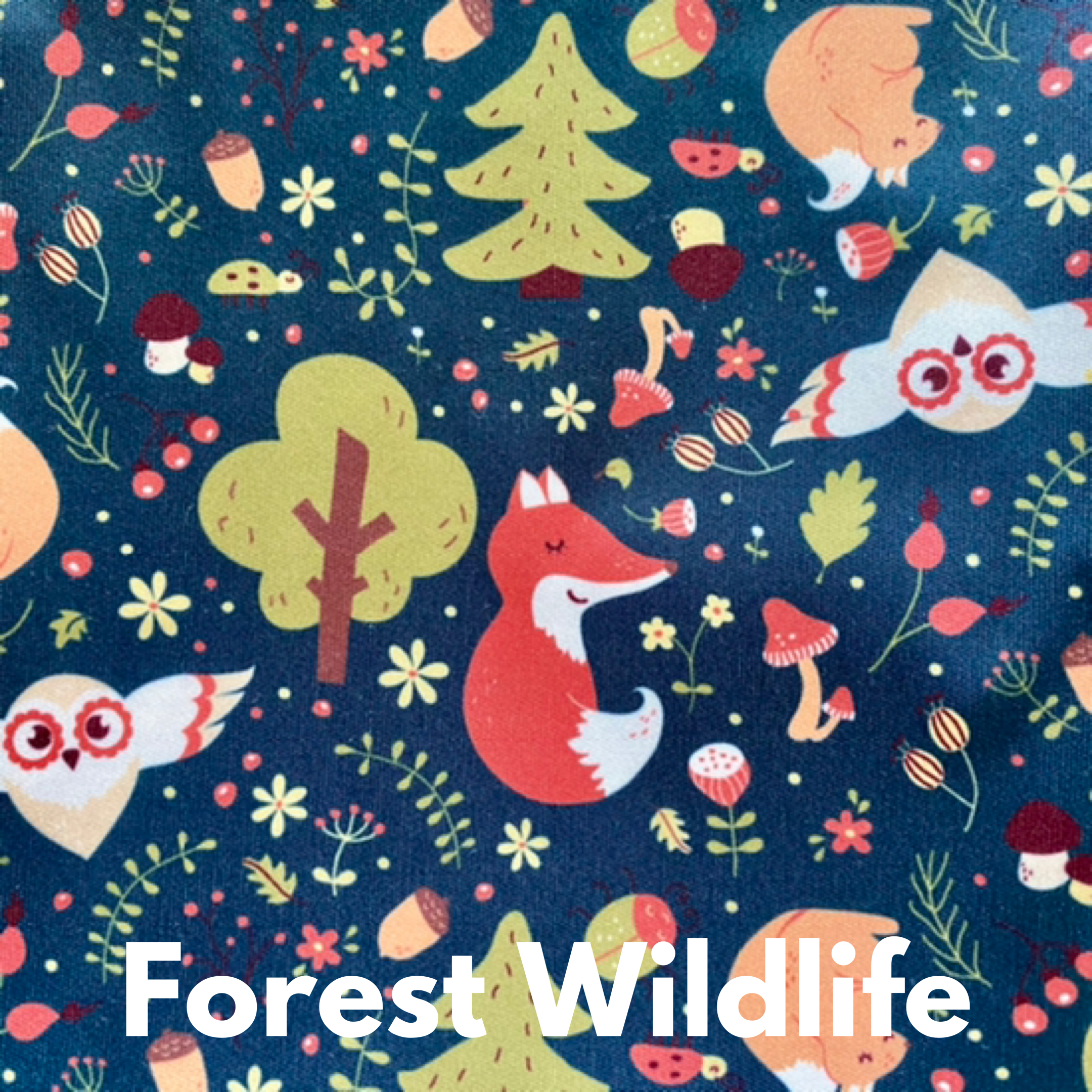 D2A8BAB7-E67A-464C-8437-E03D02D58D80