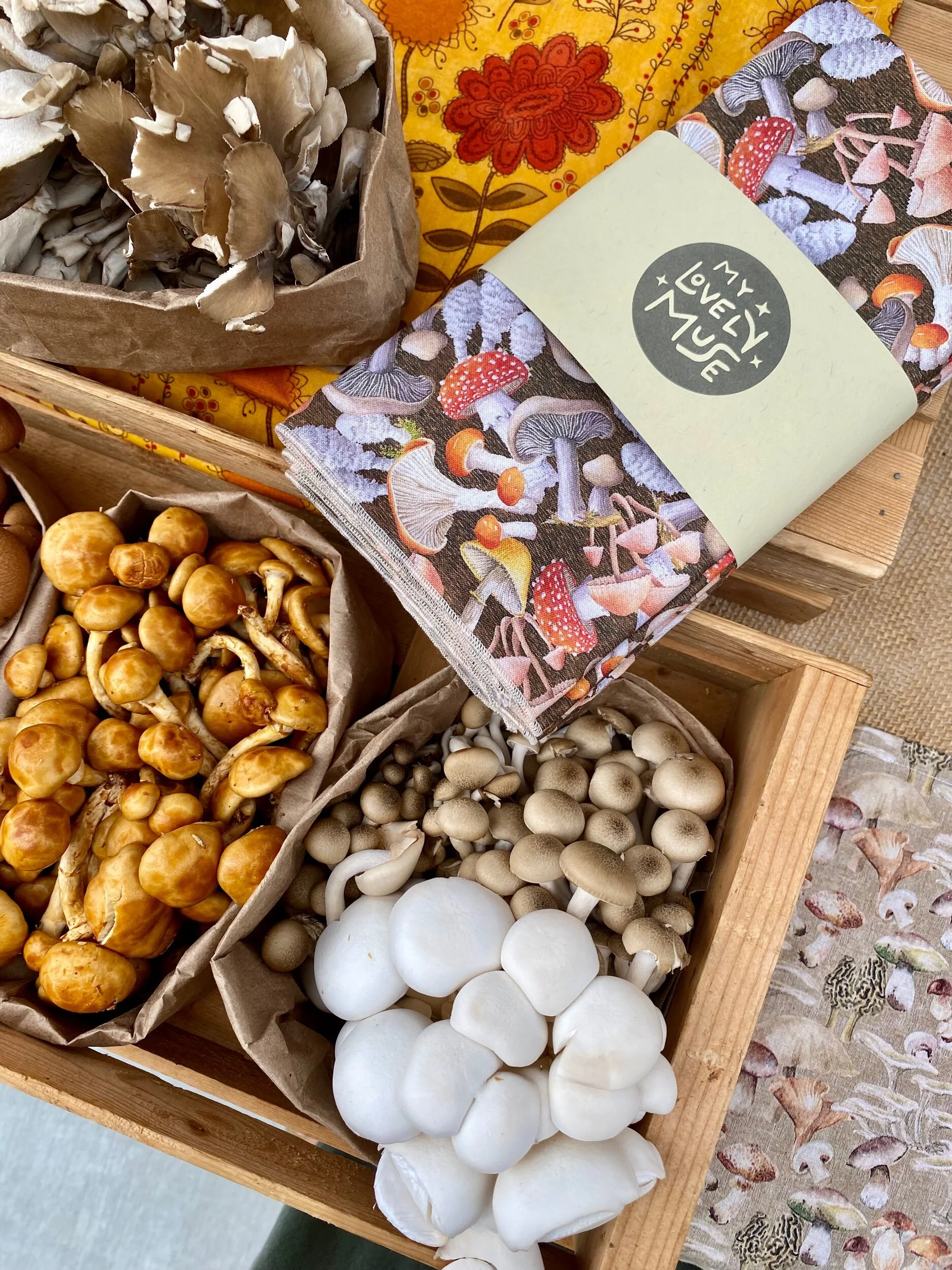 A7BBB0E3-5148-4BC4-BAC7-DE02BDABFFF5