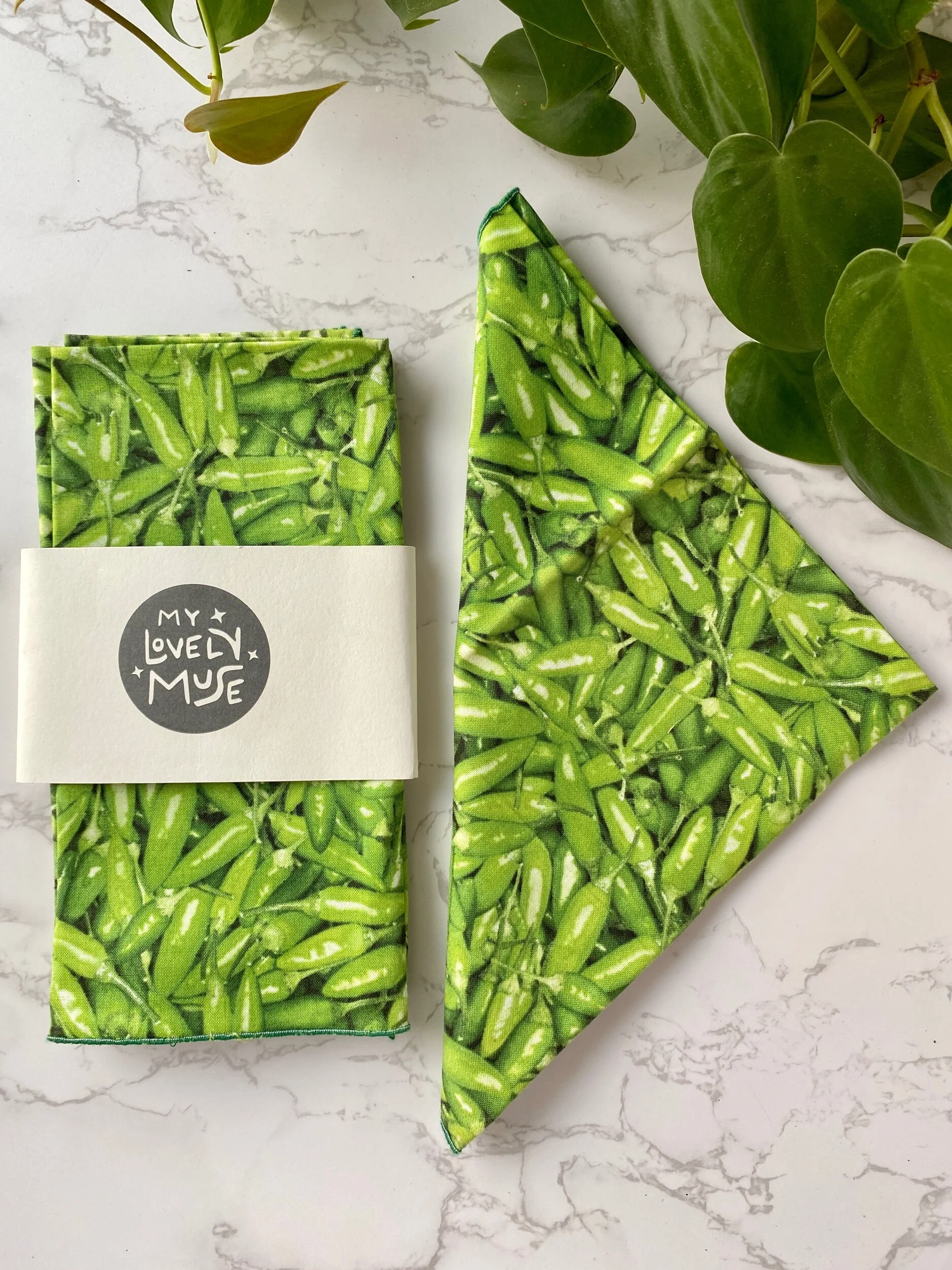 04B31C71-F303-4F2B-9606-6ED10F89144F