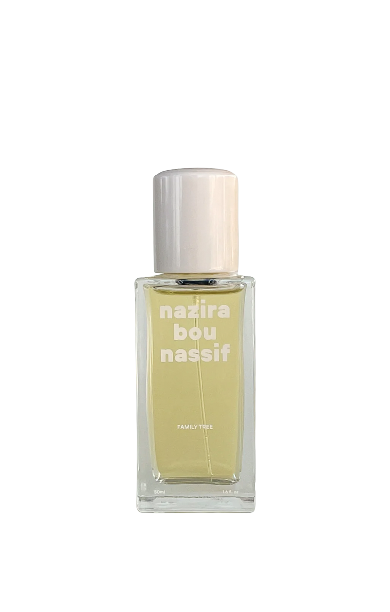 [1] Nazira Bou Nassif - Family Tree