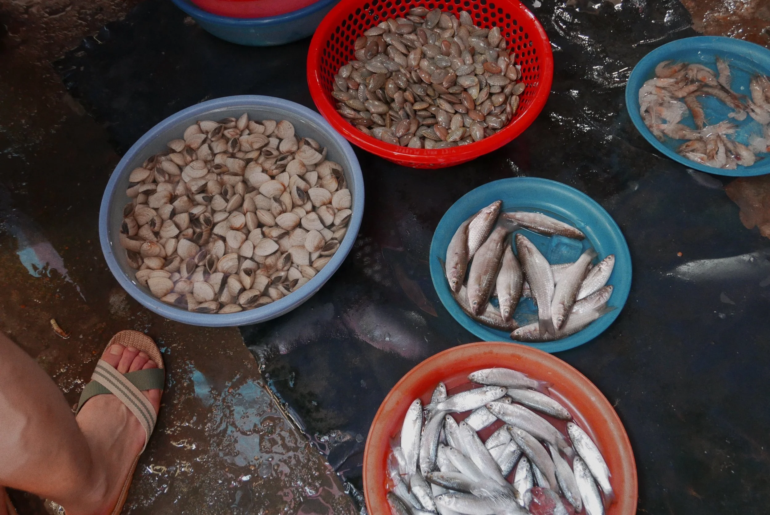 Vietnam II - Hội An 