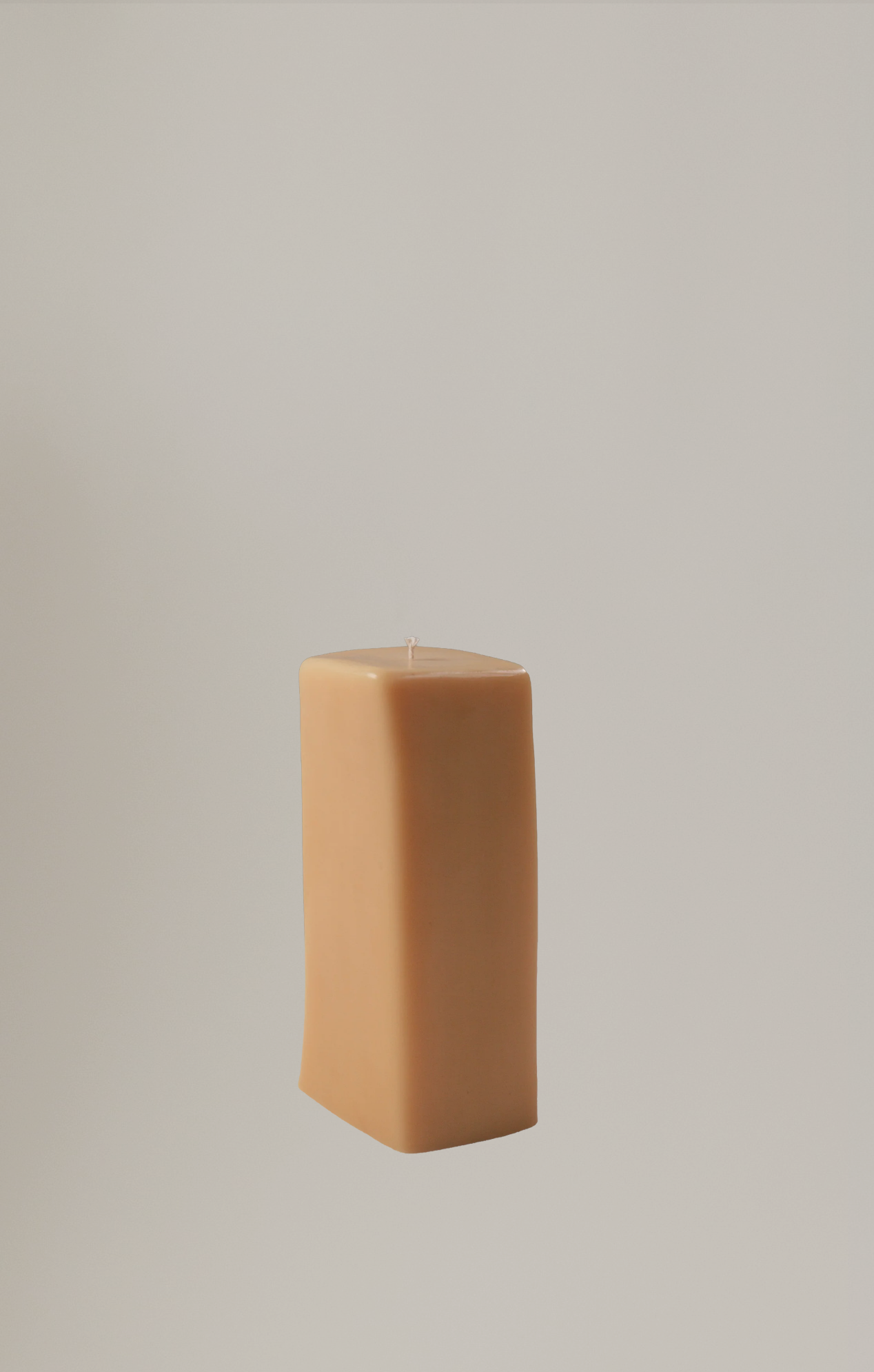 [5] Ann Vincent - XL Pillar
