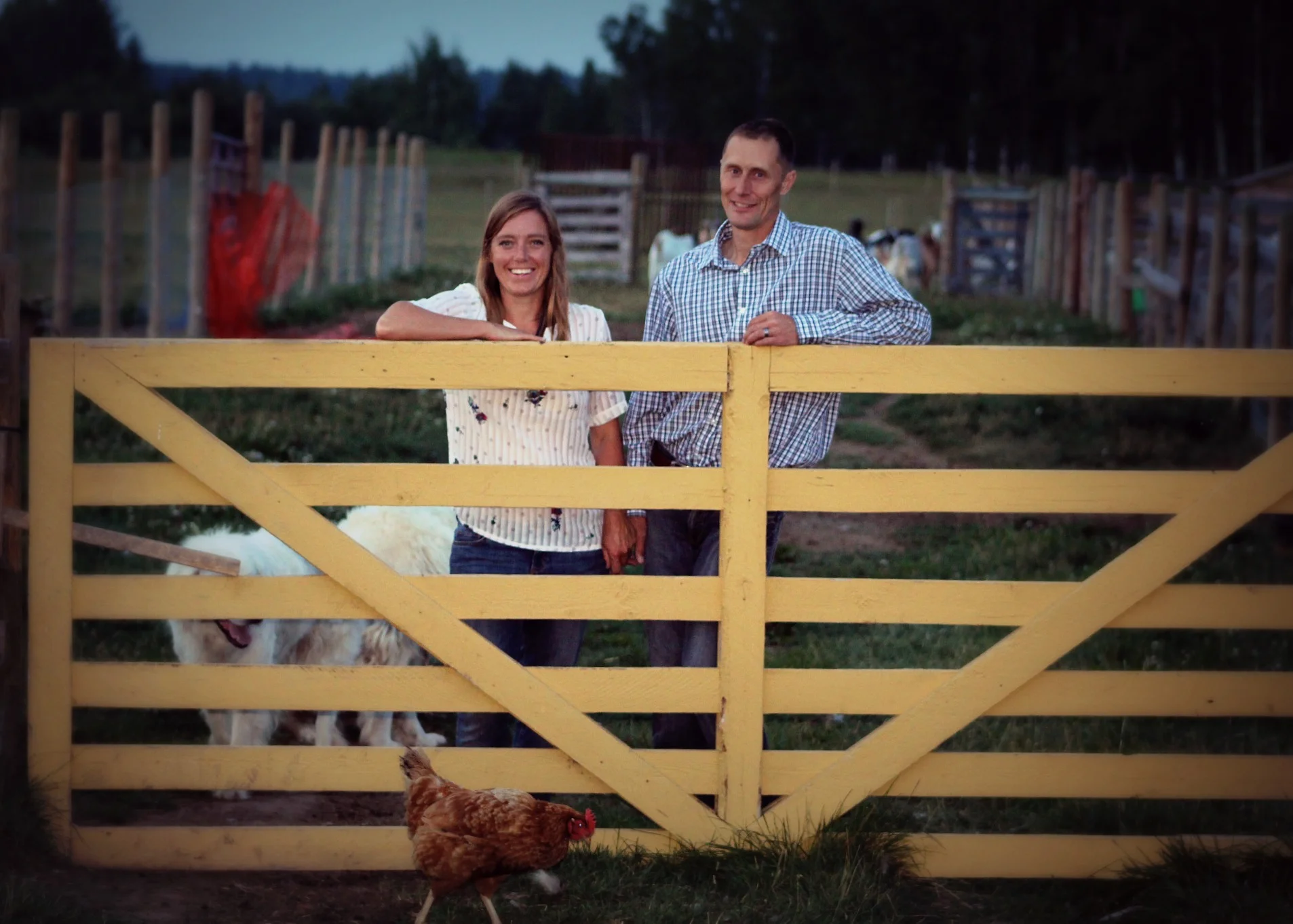 Gate, Goats & Us.jpg