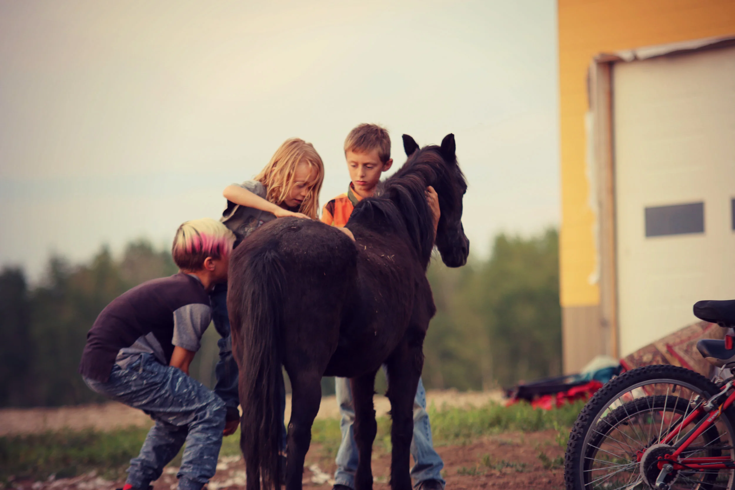 Team Work to Ride.jpg
