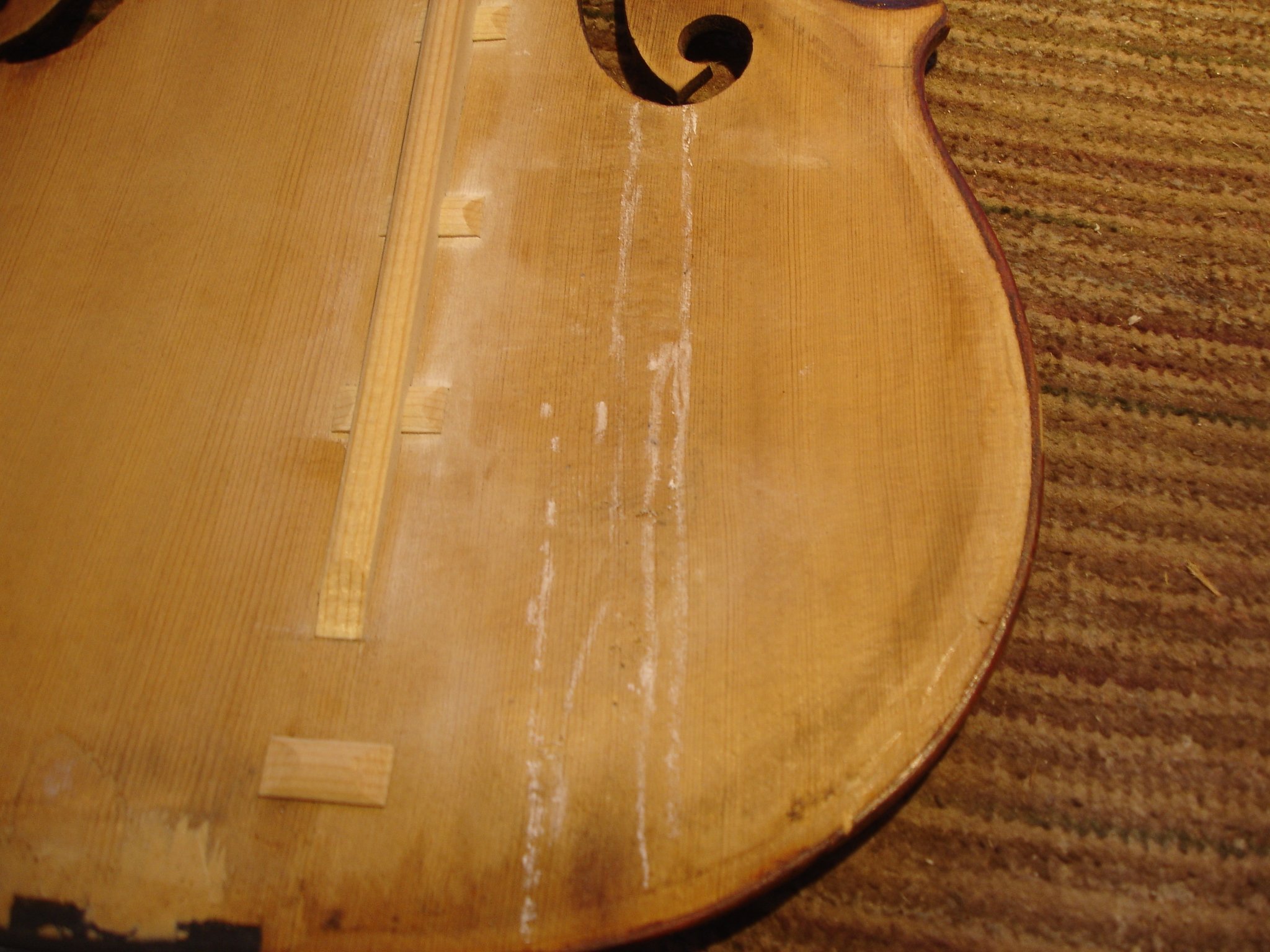 Stentor crack repair