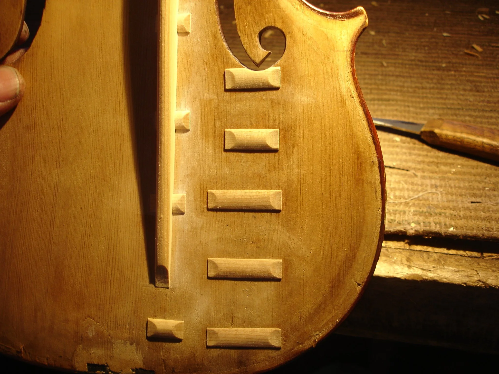 Stentor crack repair