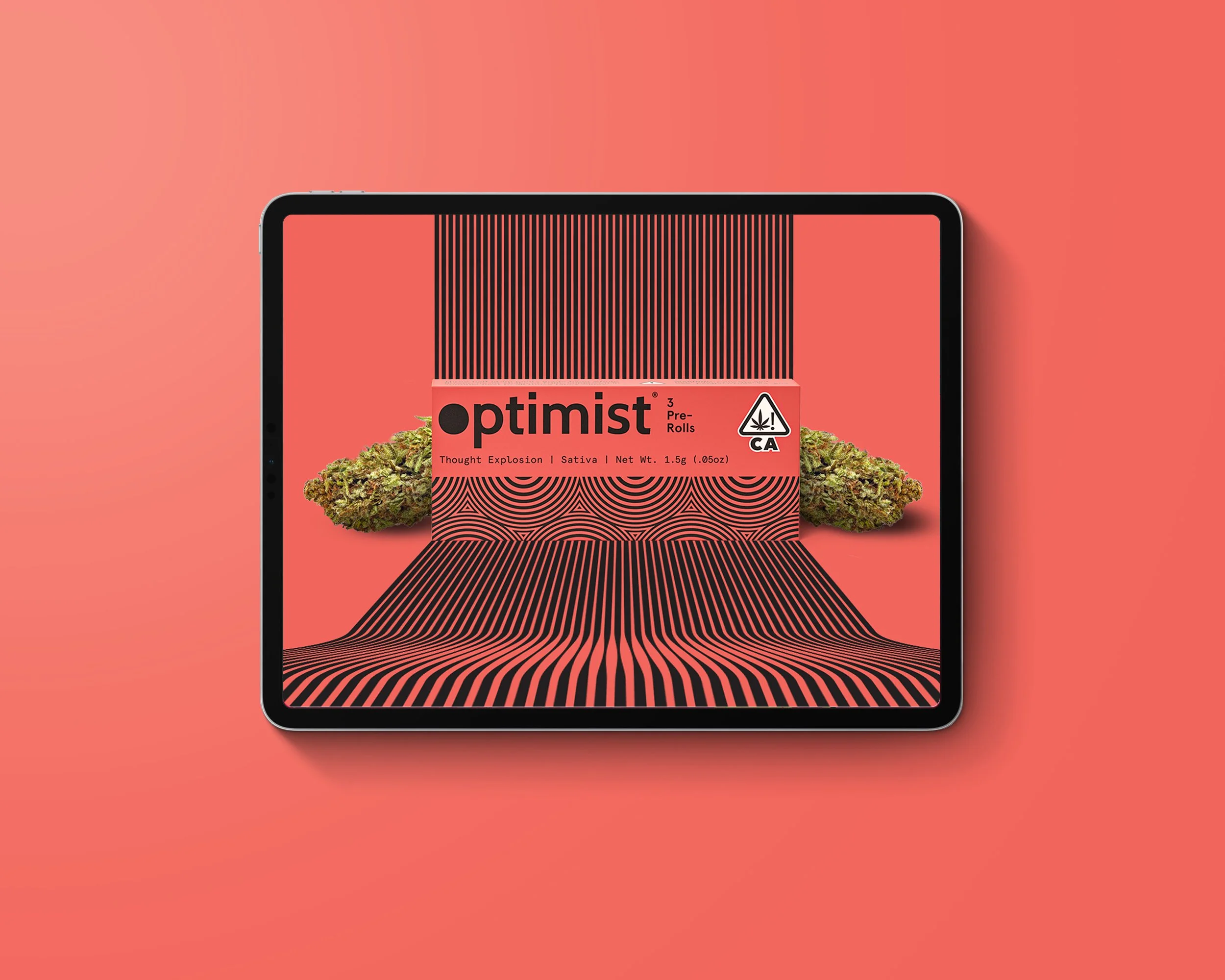 iPad_Opti.jpg