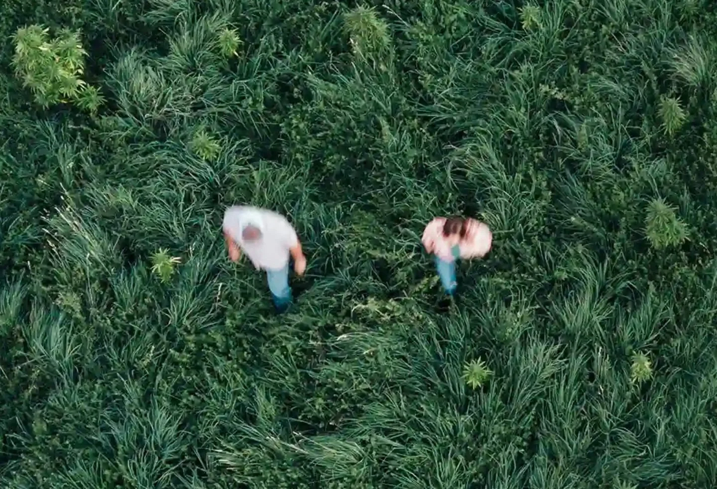 Screenshot 2025-04-07 at 2.43.08 PM.jpg