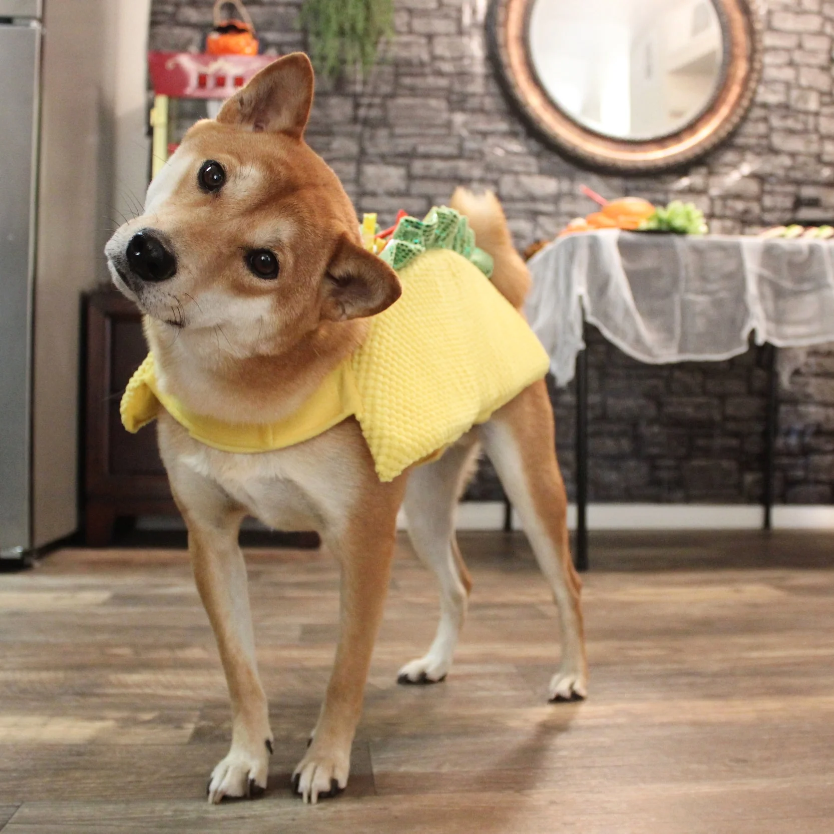 Halloween Party Hosting &amp; Bonus Recipes!