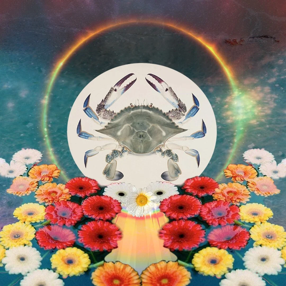 Whoo! Eclipse season is upon us. . . Again . Heres some advice for your zodiac On how to survive & come out on the other side stronger than before
