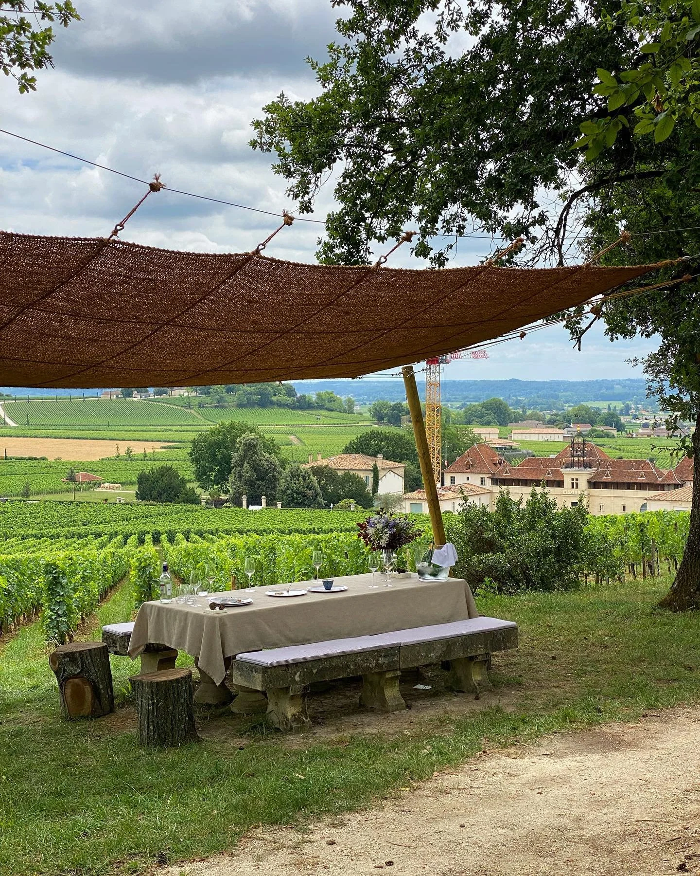 Earlier this week we enjoyed an absolutely exquisite lunch at Ch&acirc;teau Ang&eacute;lus, graciously hosted by St&eacute;phanie de Bo&uuml;ard-Rivoal in the family home. It was an incredibly intimate experience which started off with a ride in the 
