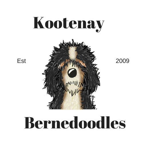 valhalla mountain kennels