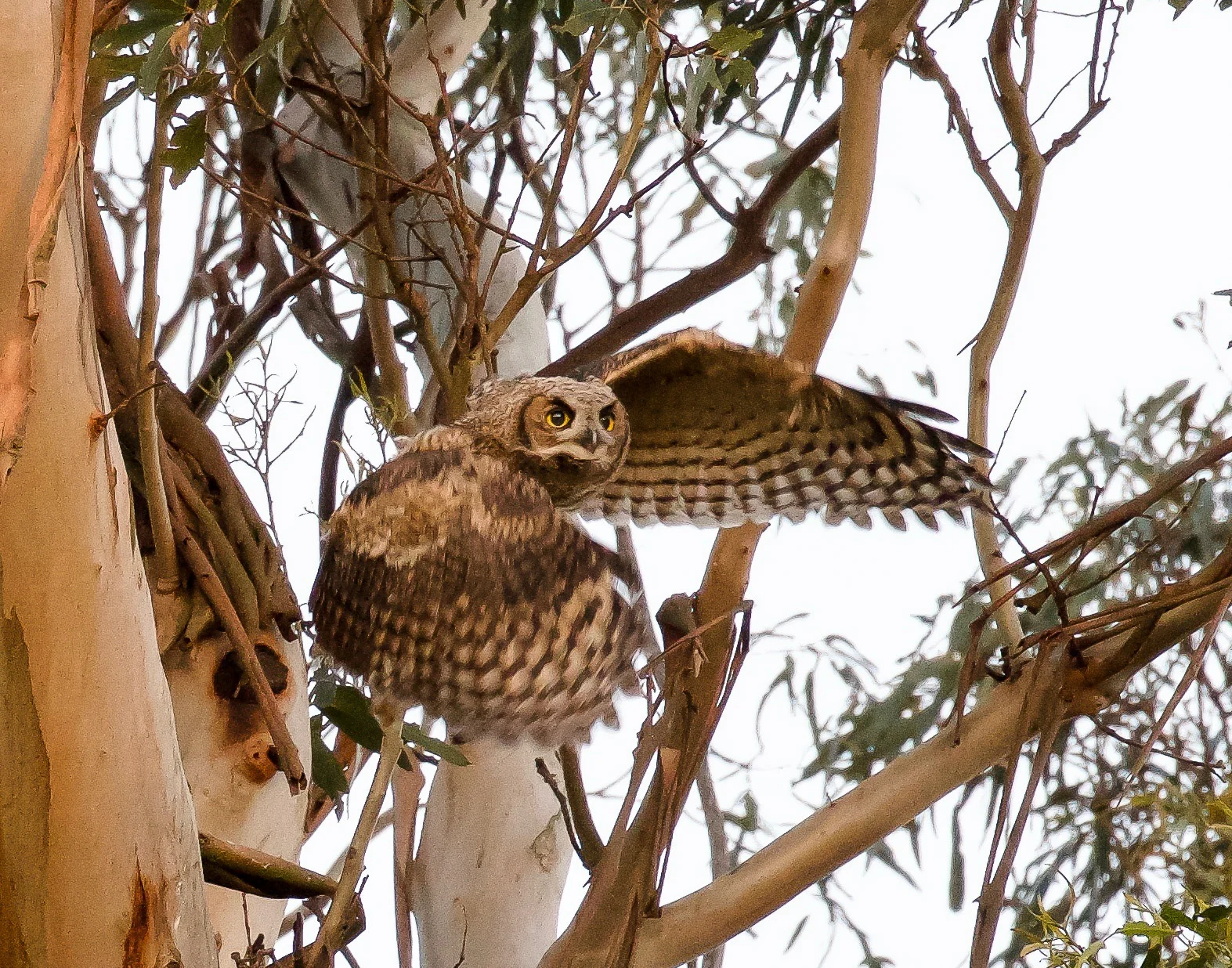 DSC_7549.jpg