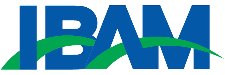 IBAM logo.JPG