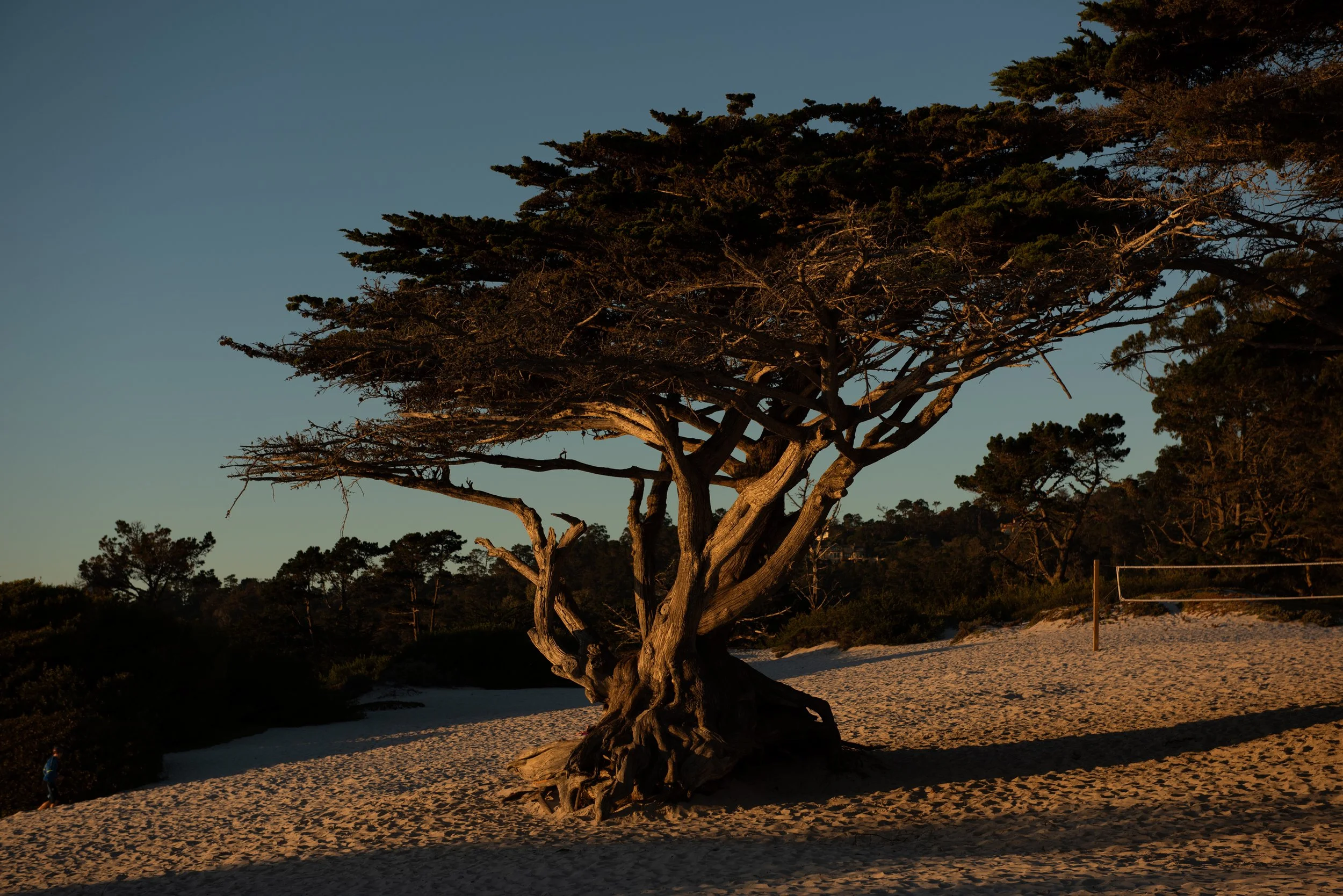 Carmel_06.jpg