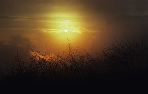 Sunset.numbers.jpg