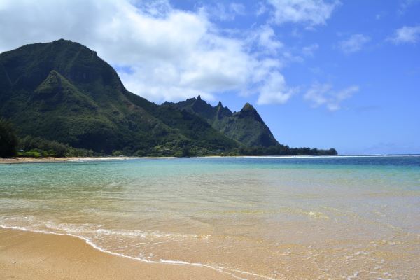 makana.jpeg