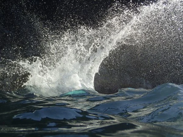 splash.jpeg